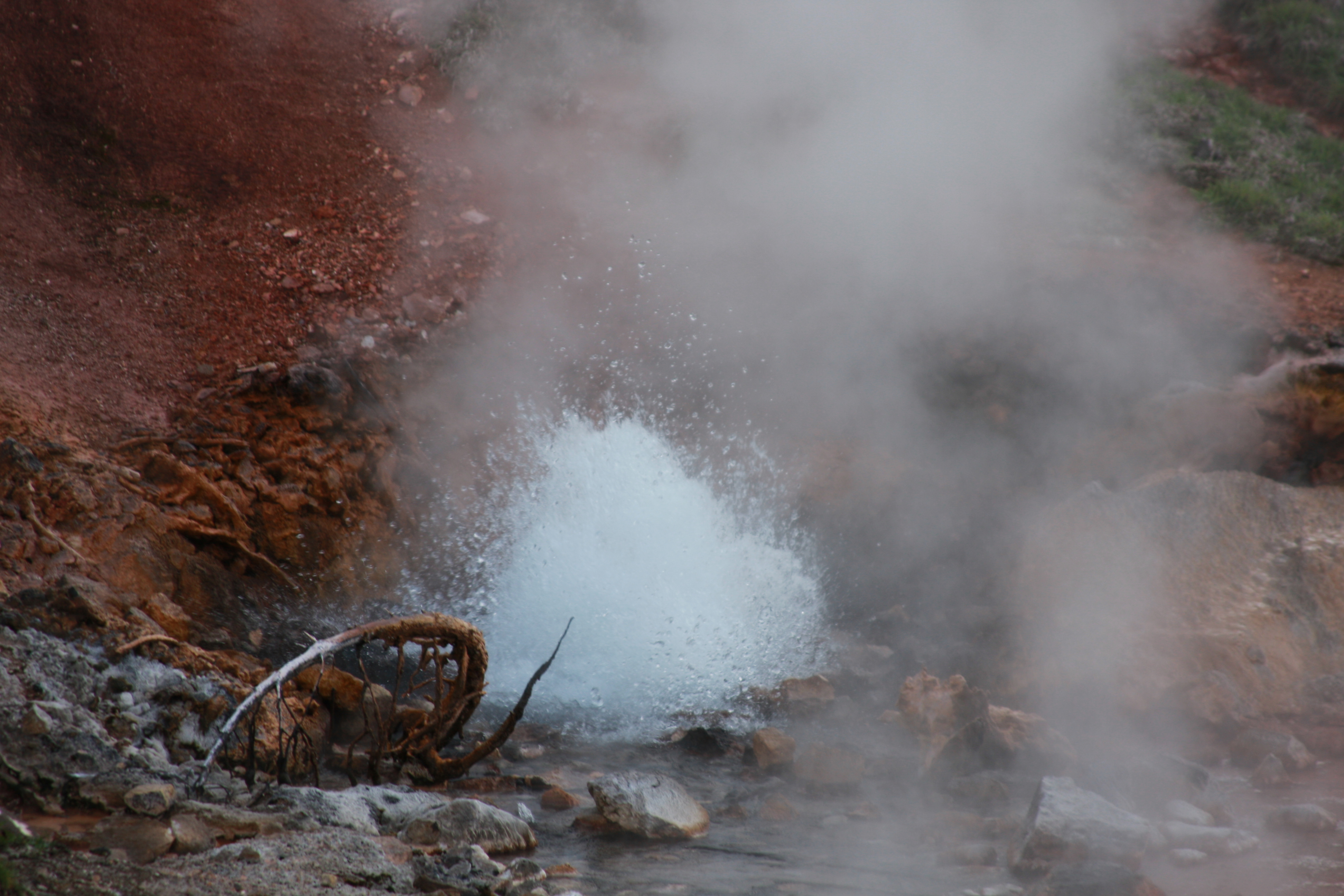 Yellowstone Day 3 113