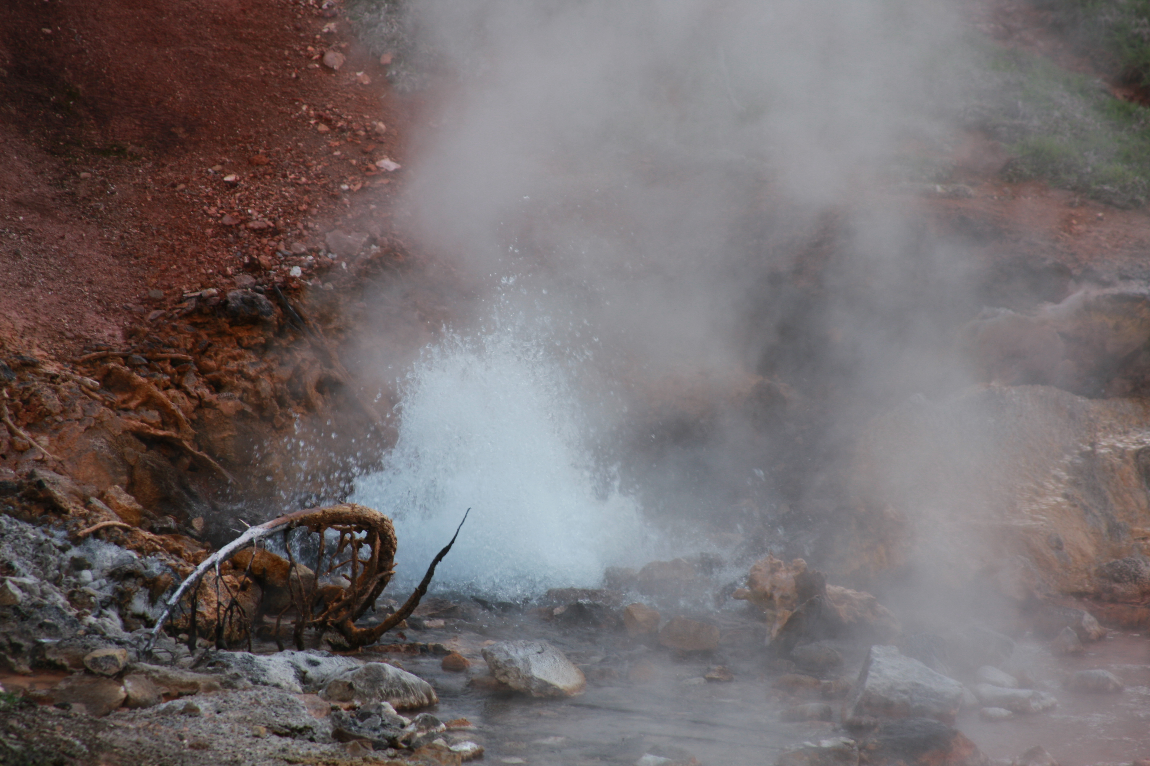 Yellowstone Day 3 114