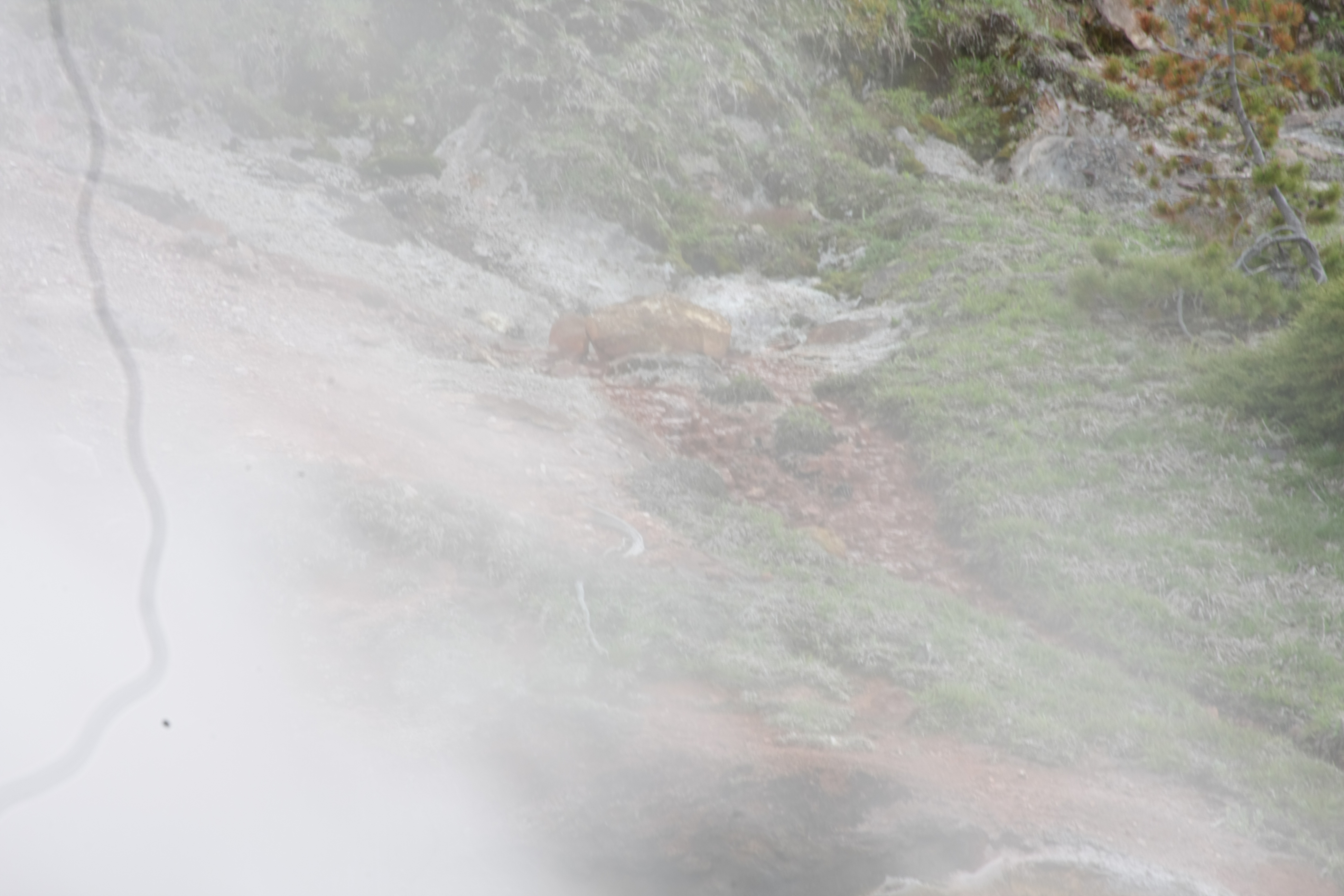 Yellowstone Day 3 116