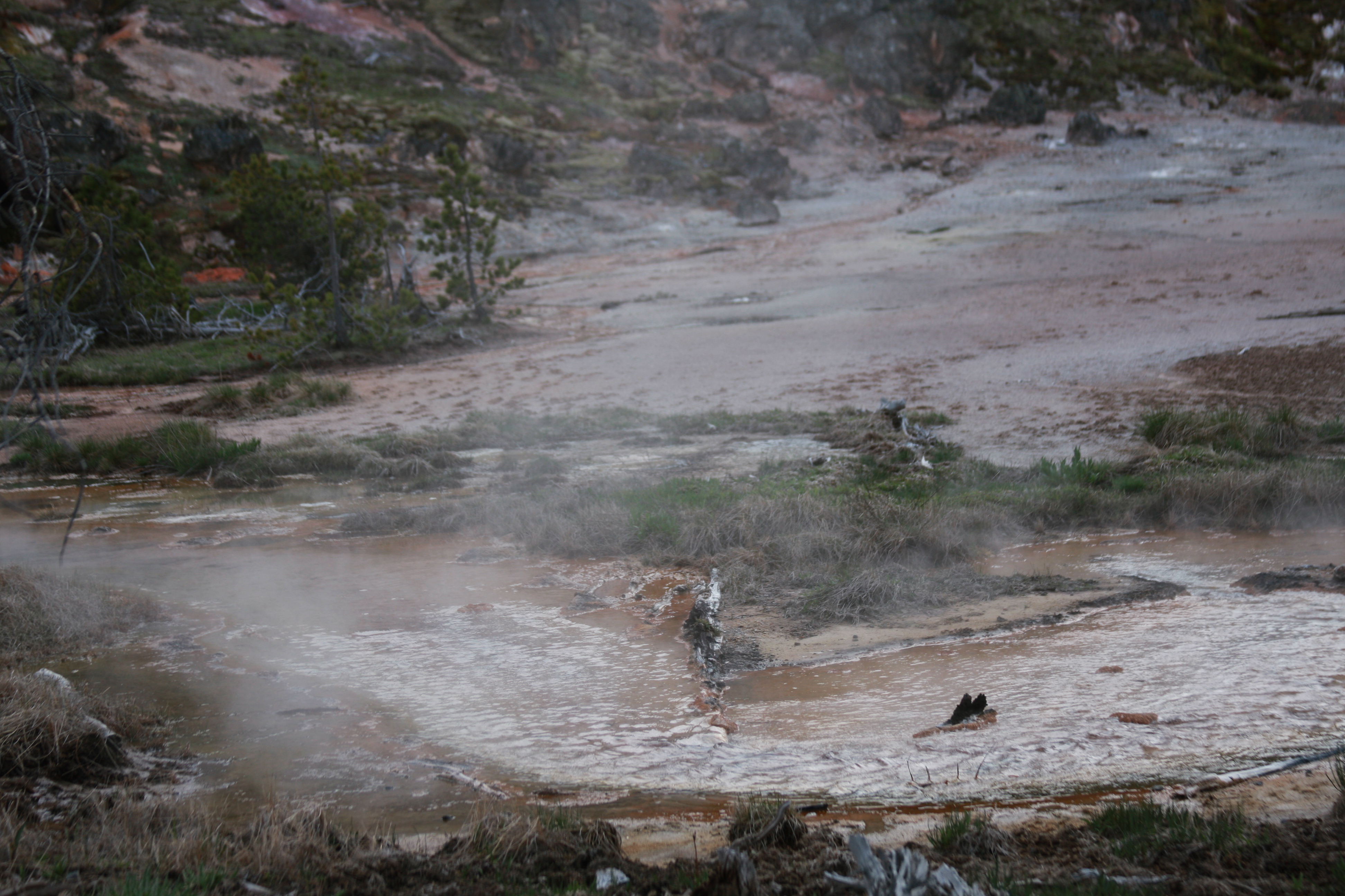 Yellowstone Day 3 121