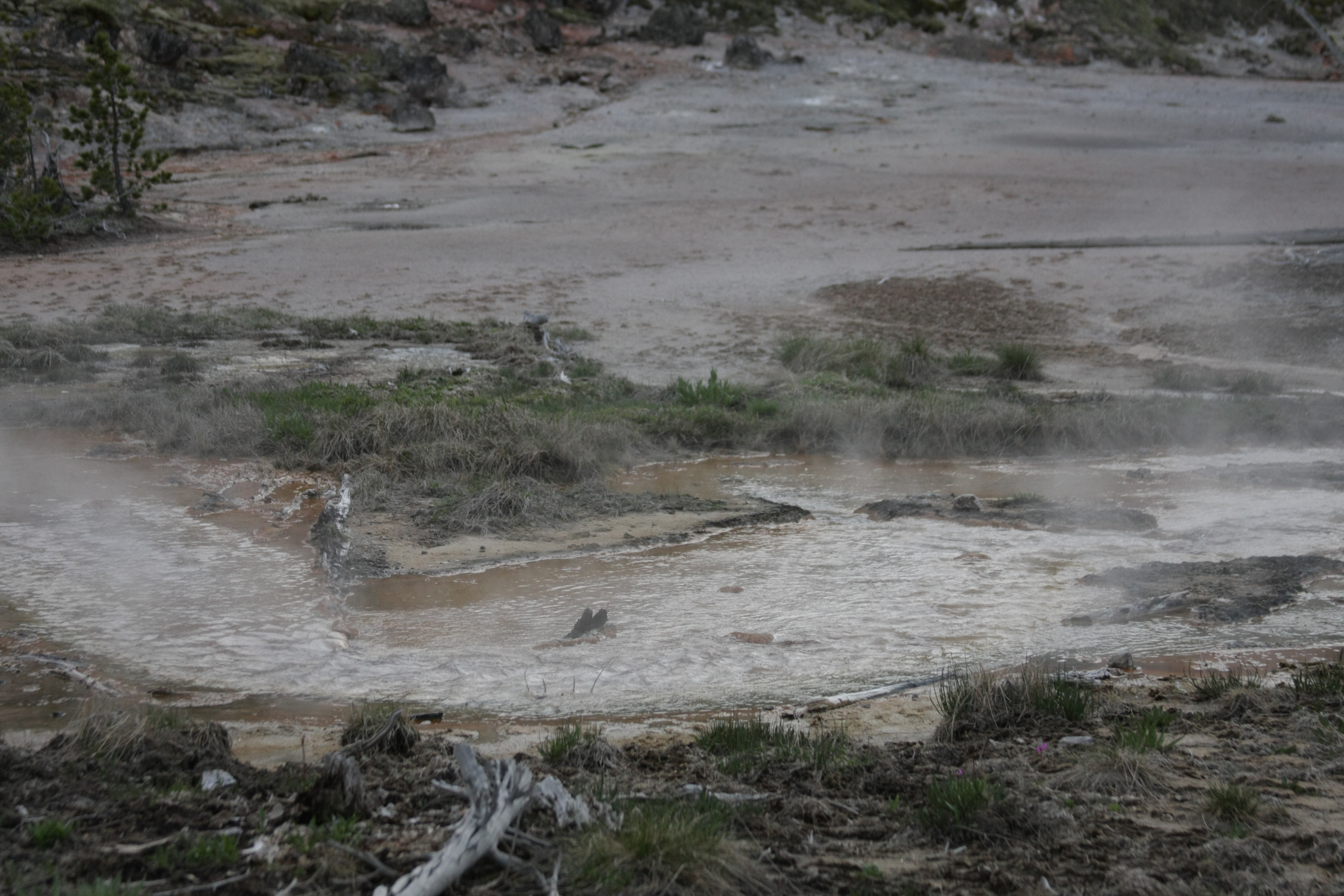 Yellowstone Day 3 122