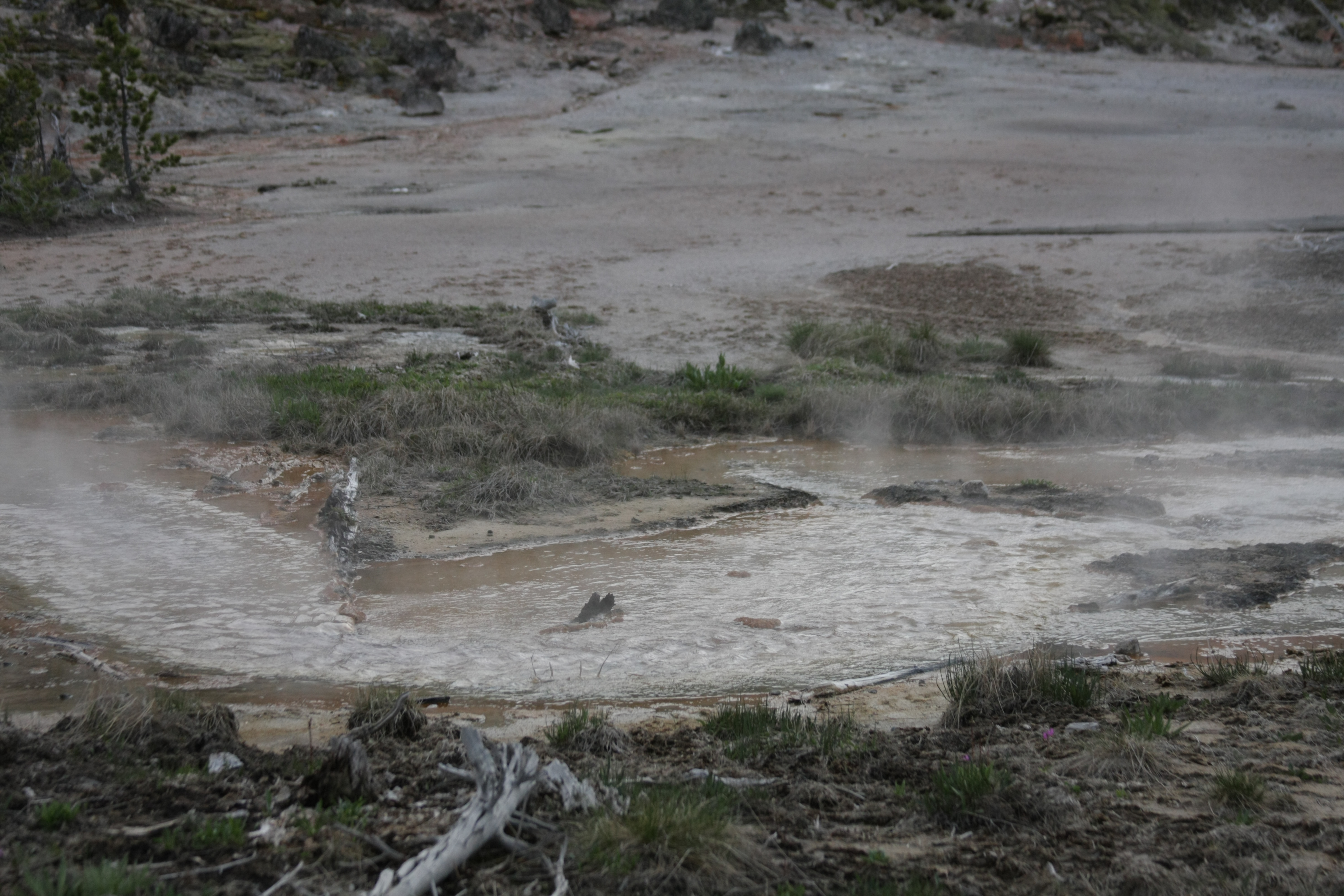 Yellowstone Day 3 123