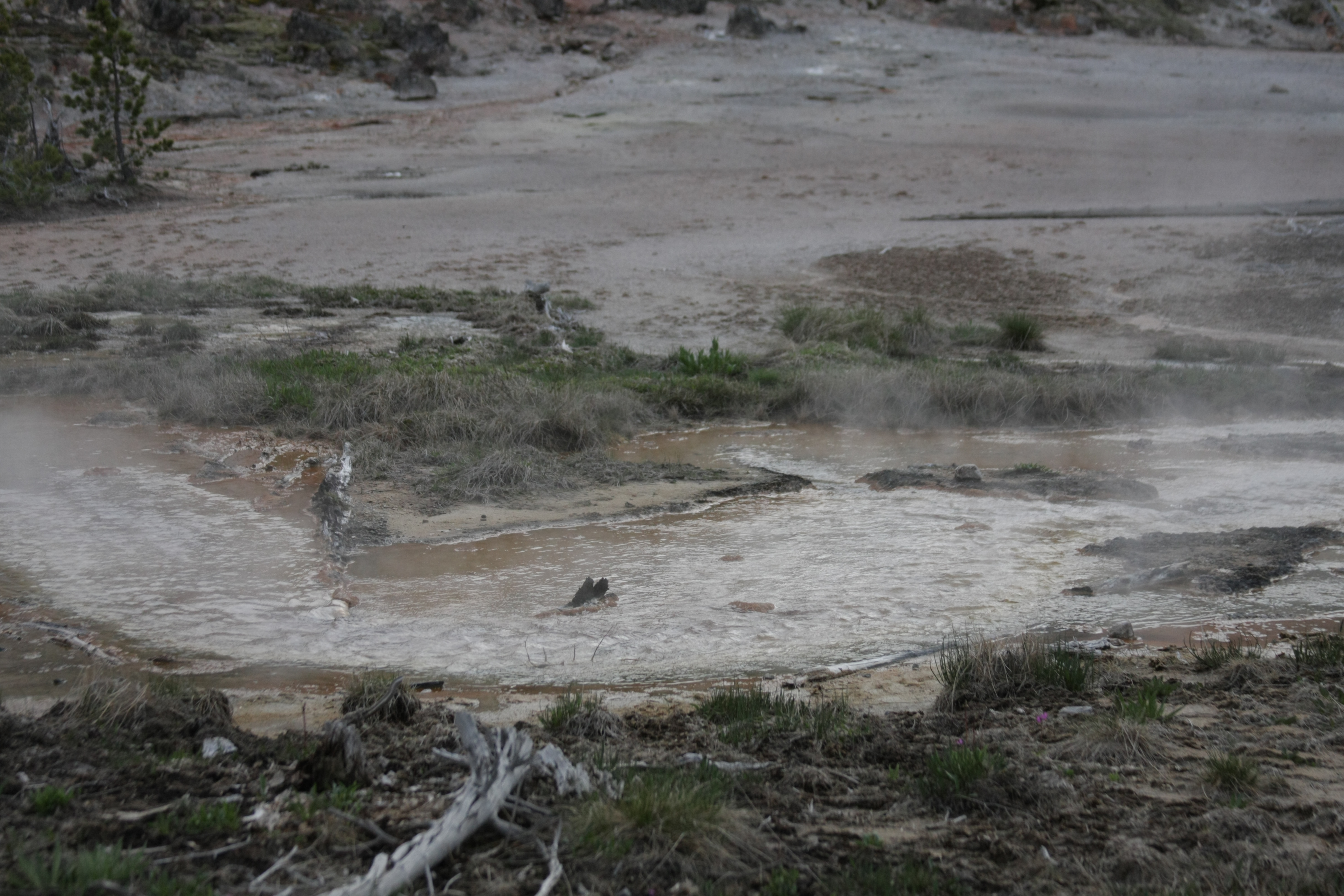 Yellowstone Day 3 124