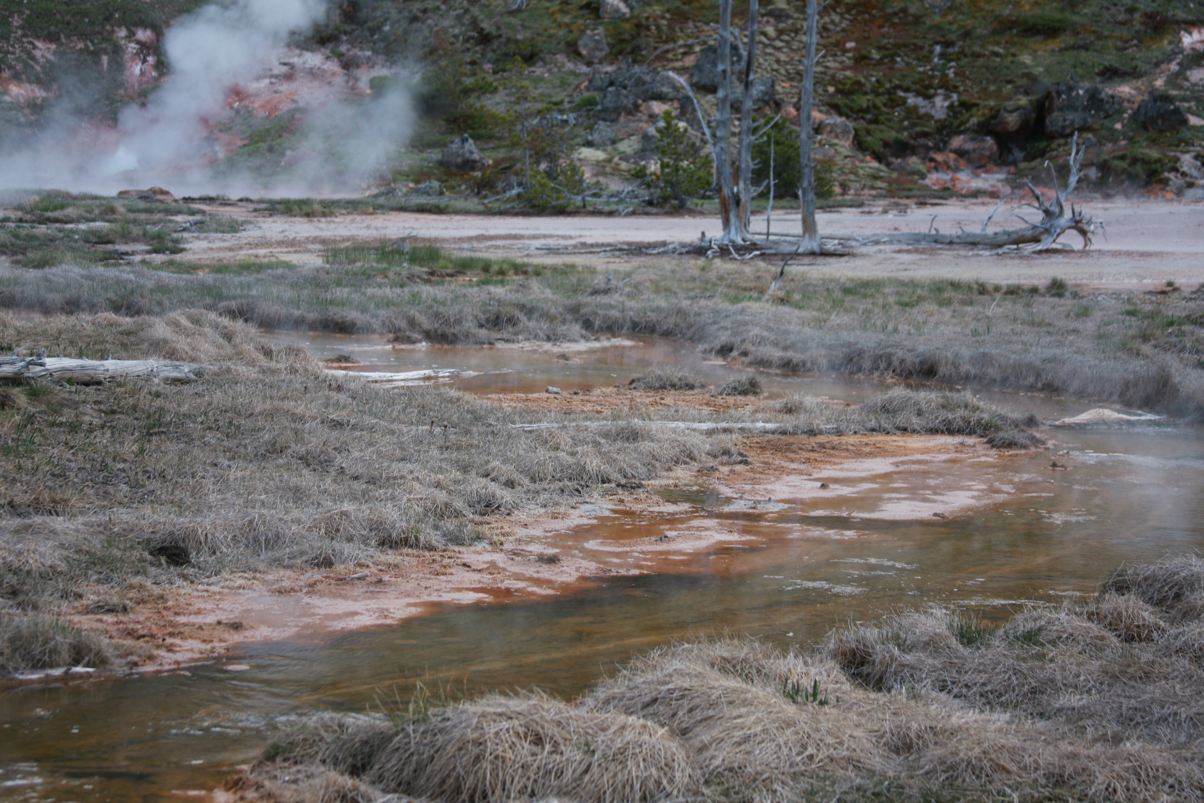 Yellowstone Day 3 126