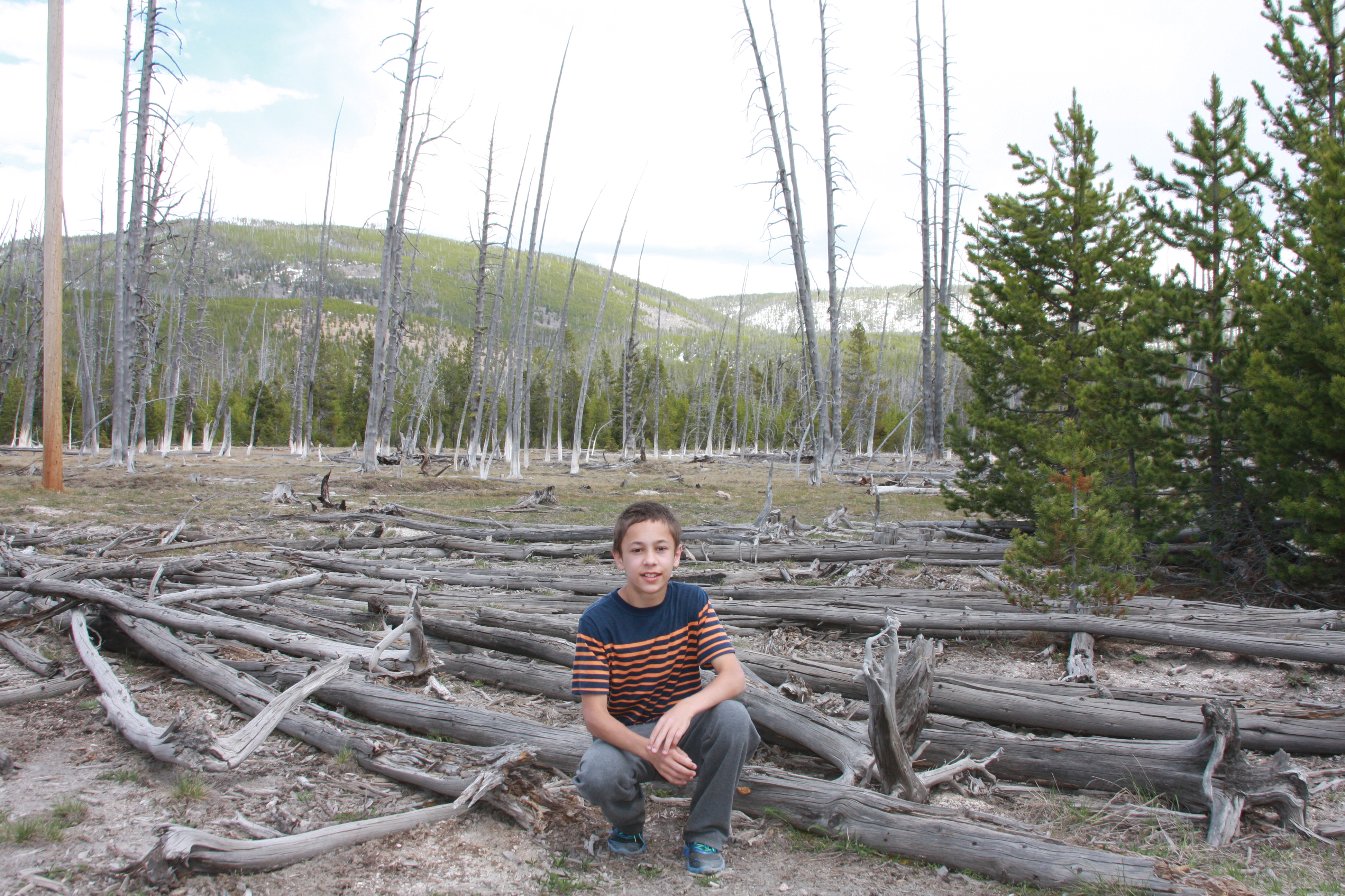 Yellowstone Day 3 136