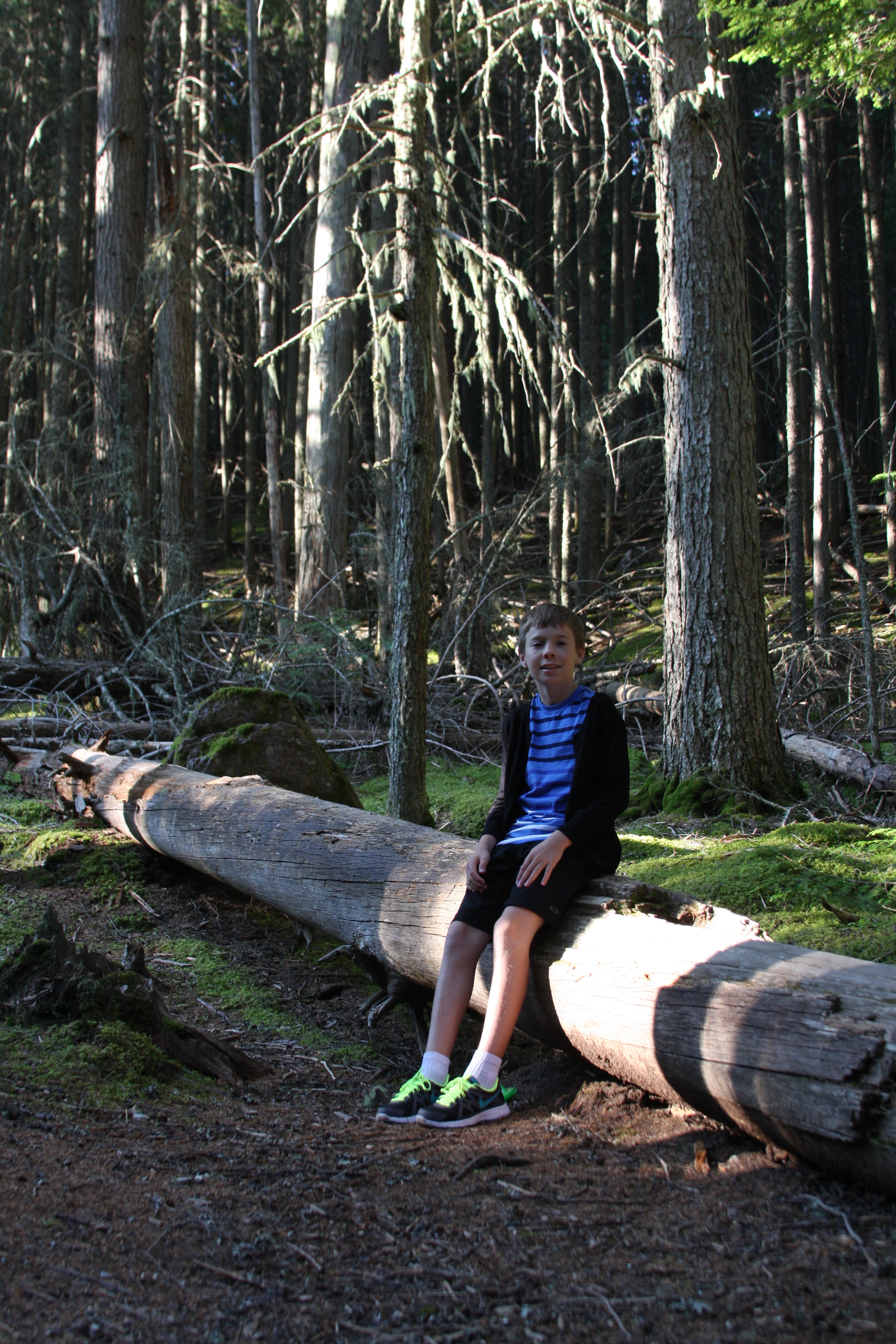 Glacier National Park 012