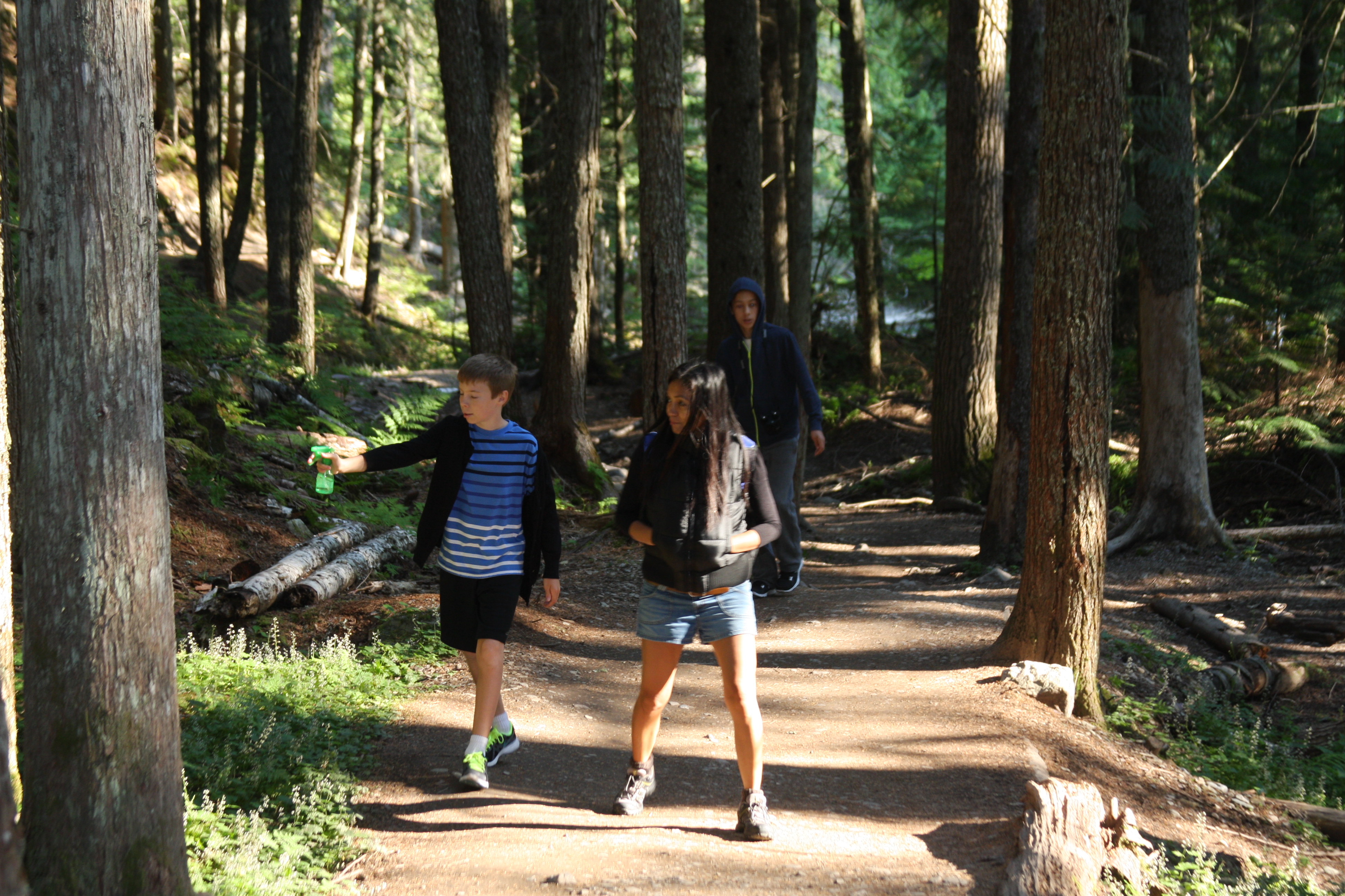 Glacier National Park 016