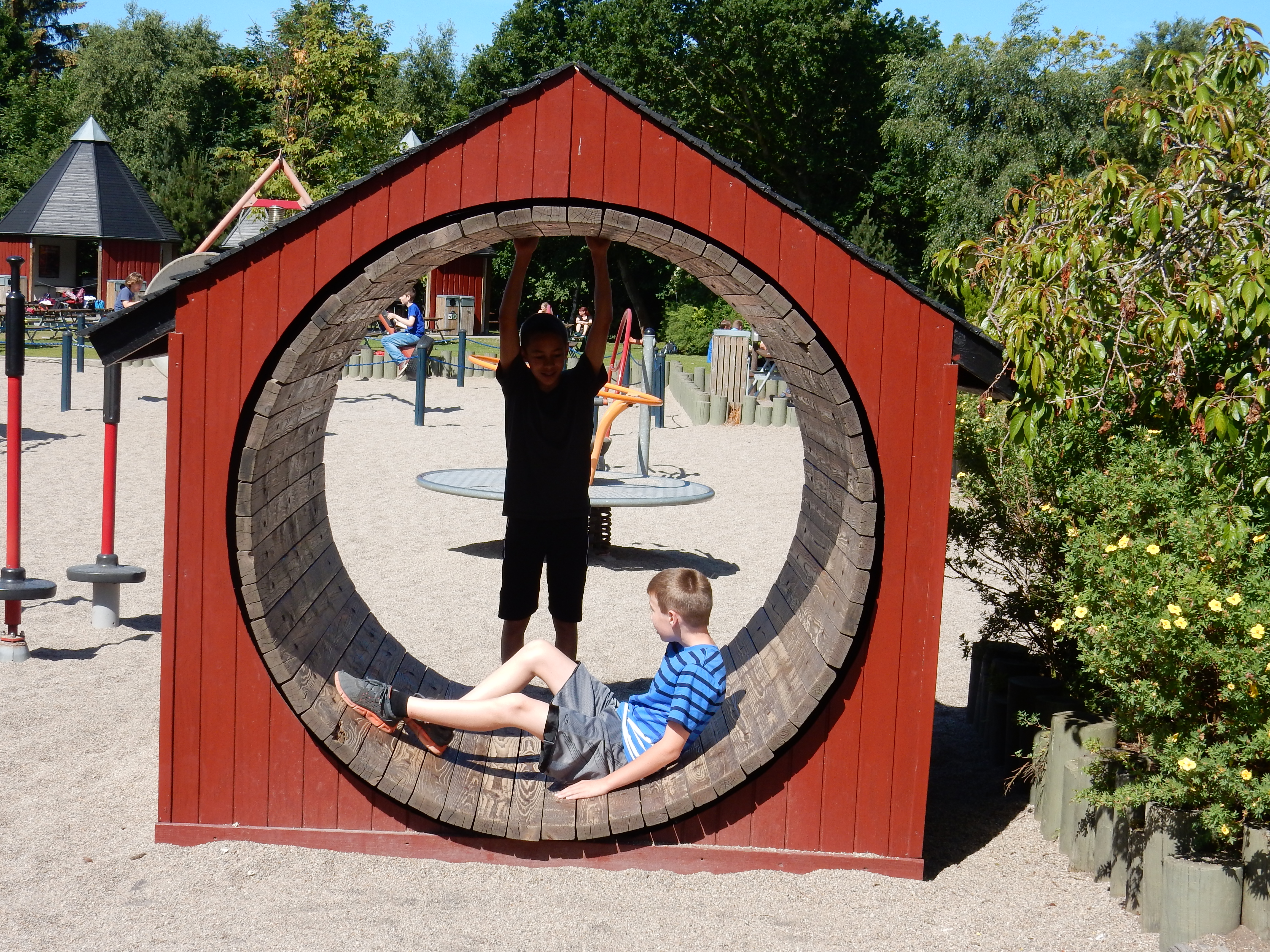 Sommer 2014 058