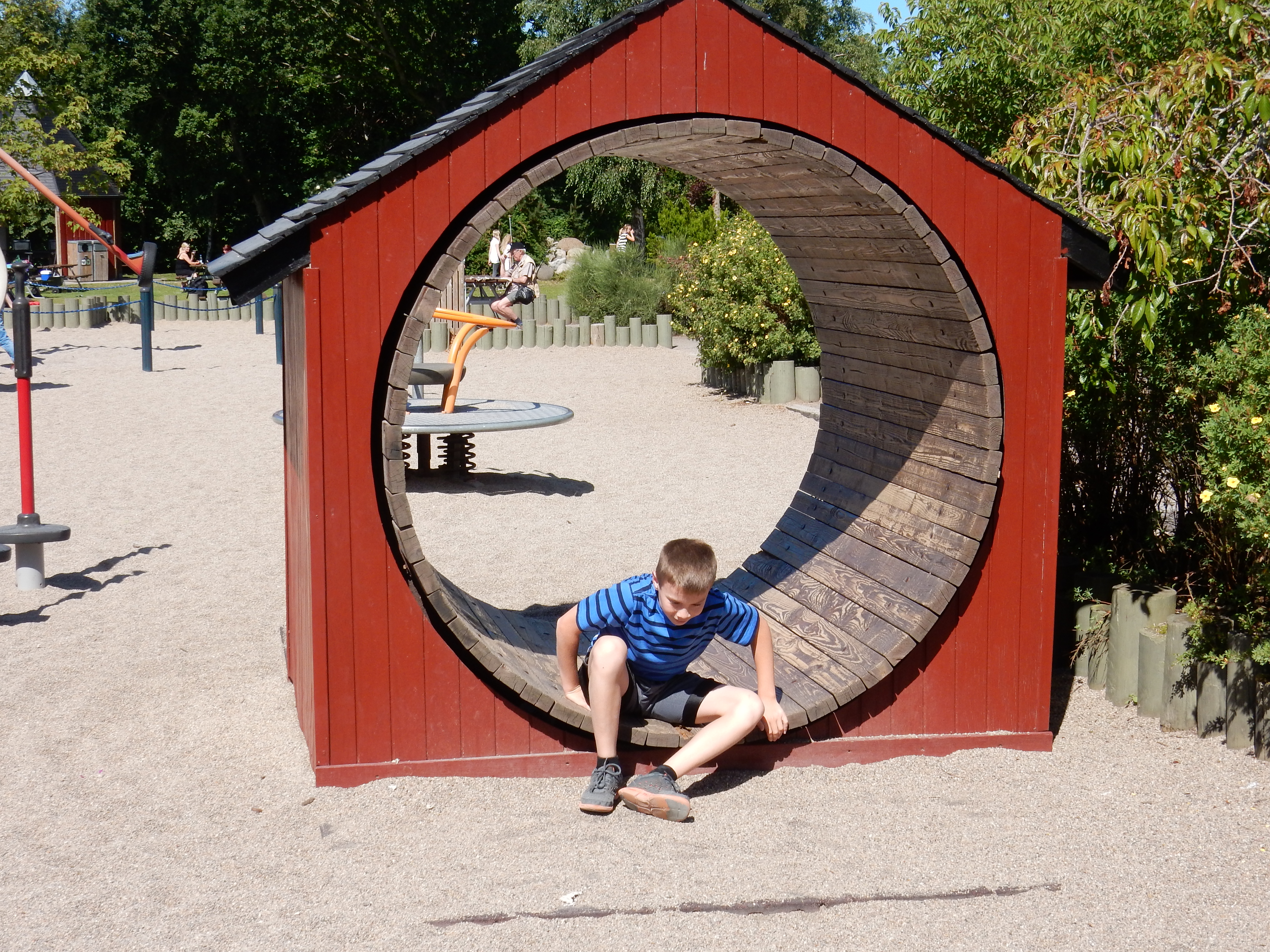 Sommer 2014 059