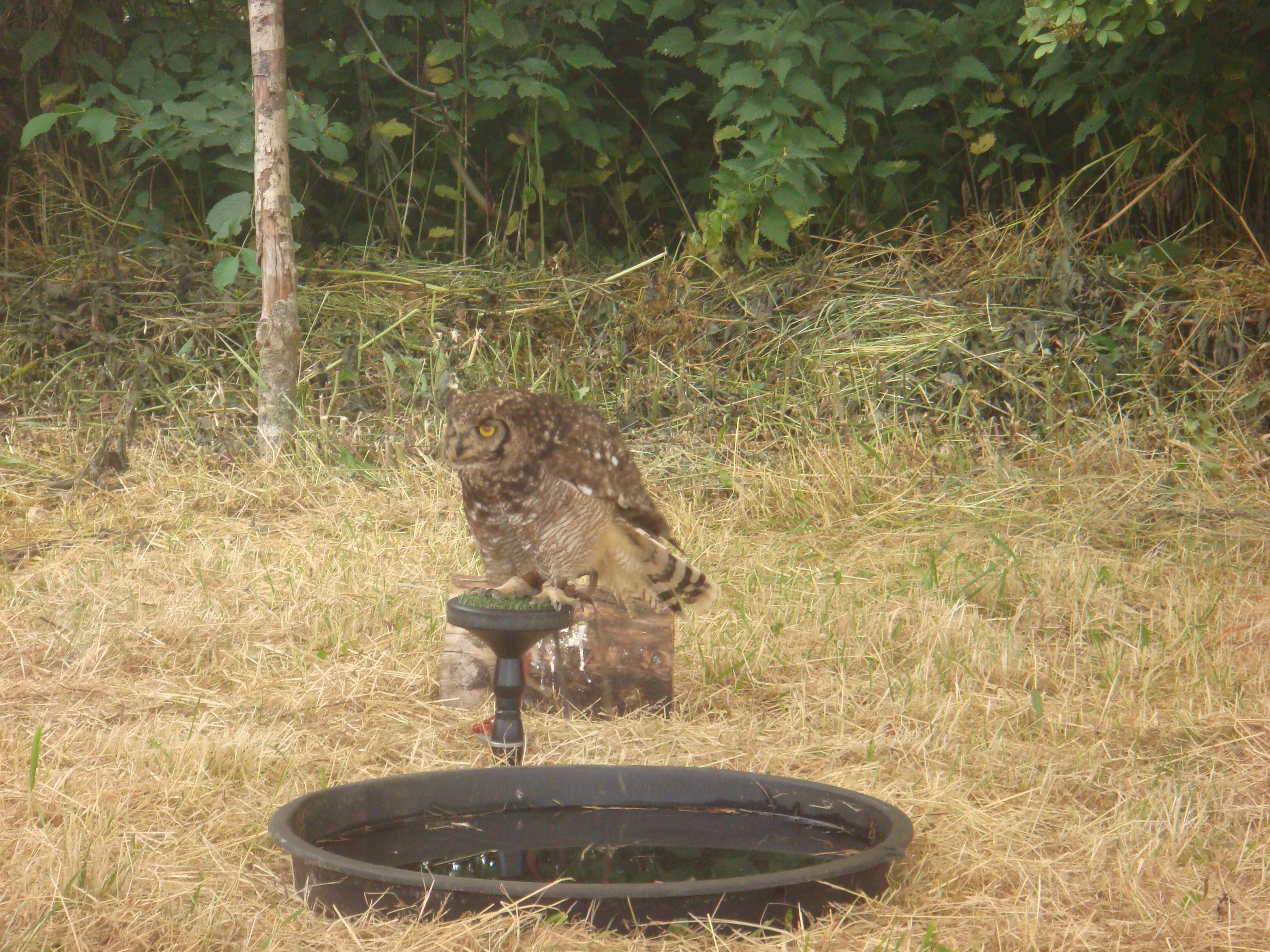 Sommer 2014 096