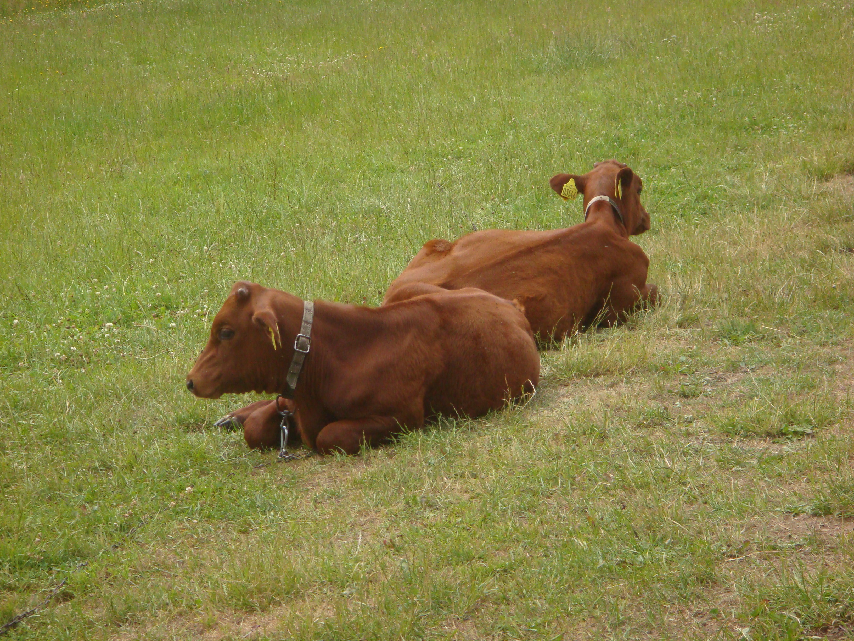 Sommer 2014 107