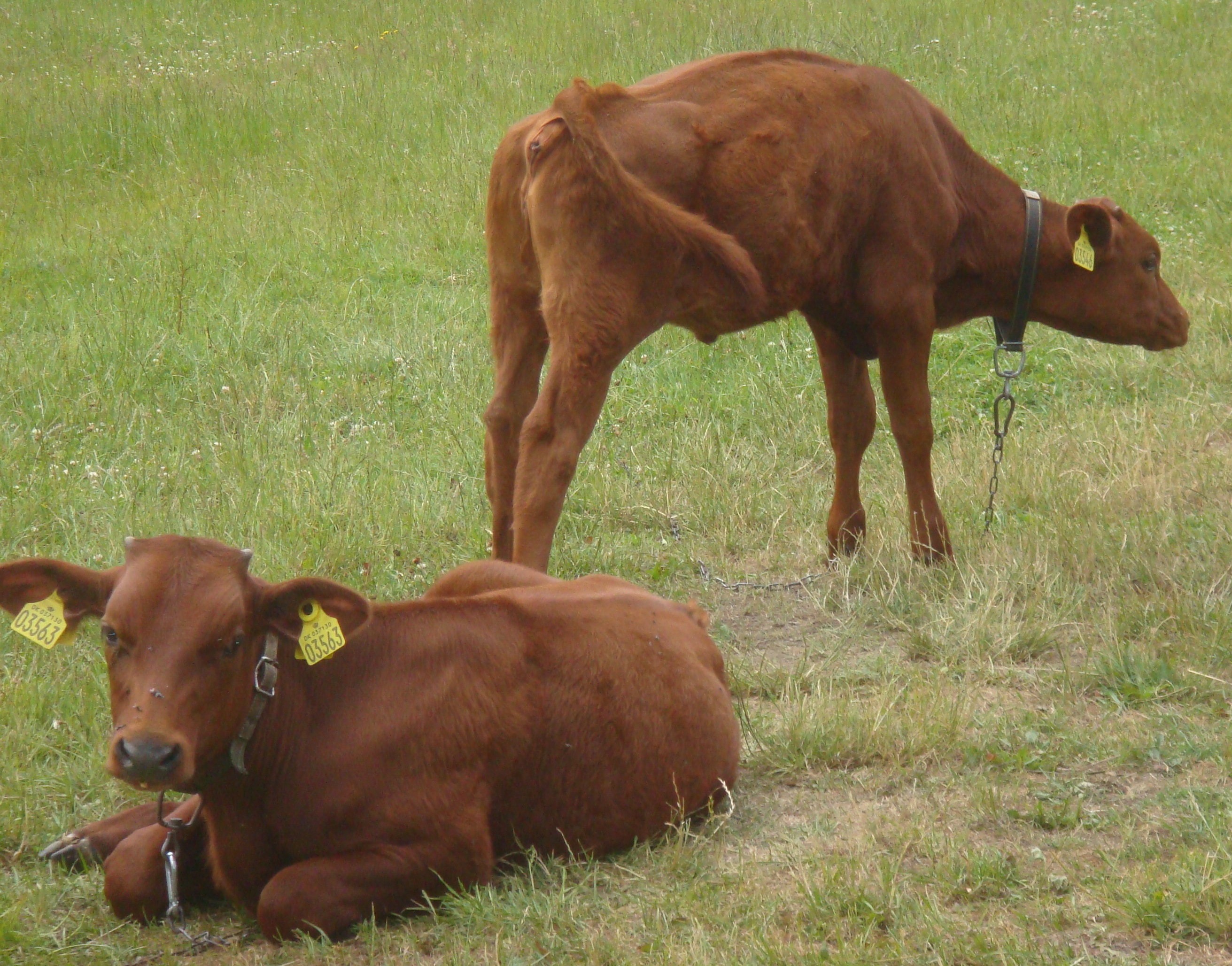 Sommer 2014 108
