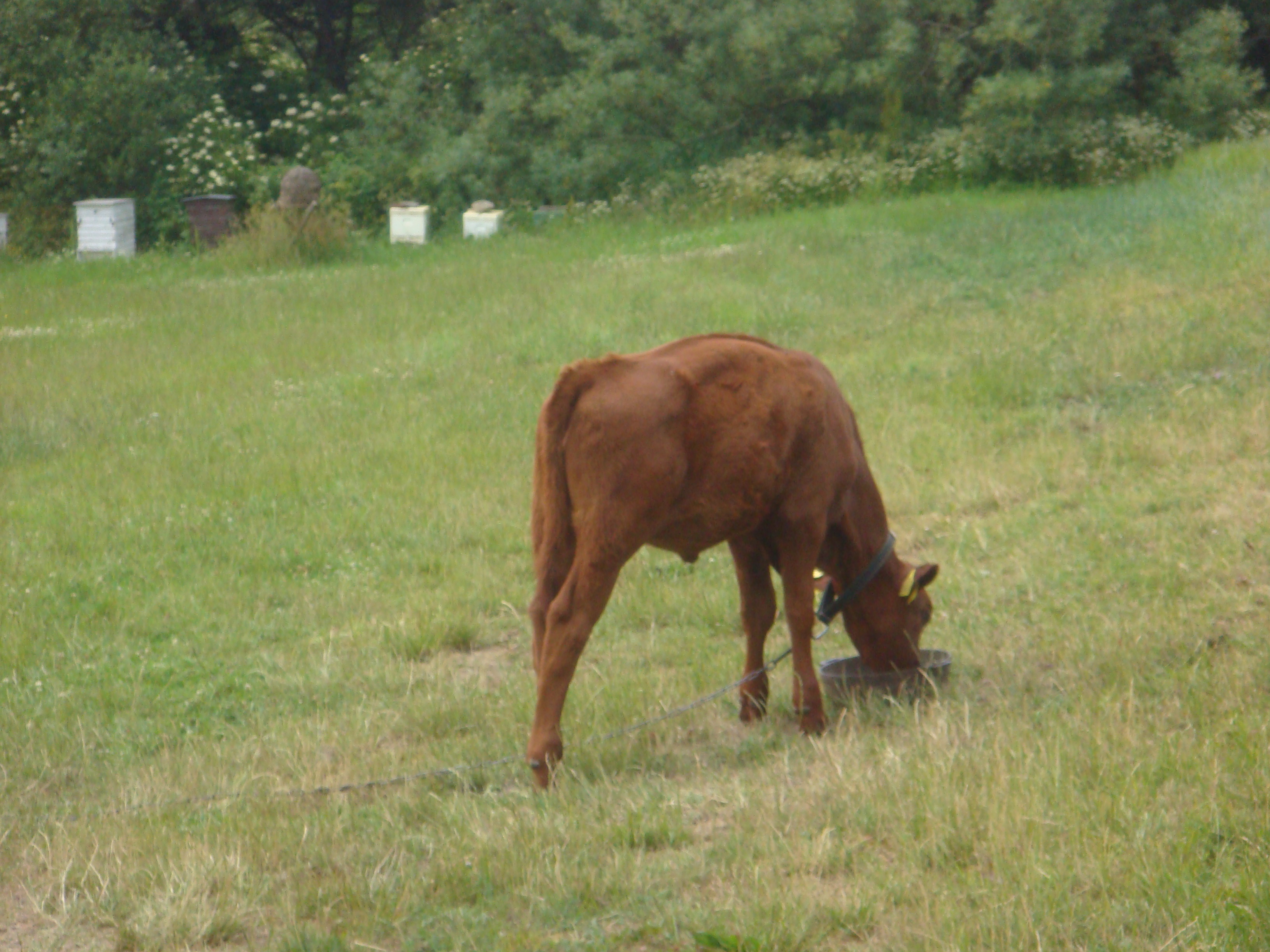 Sommer 2014 109