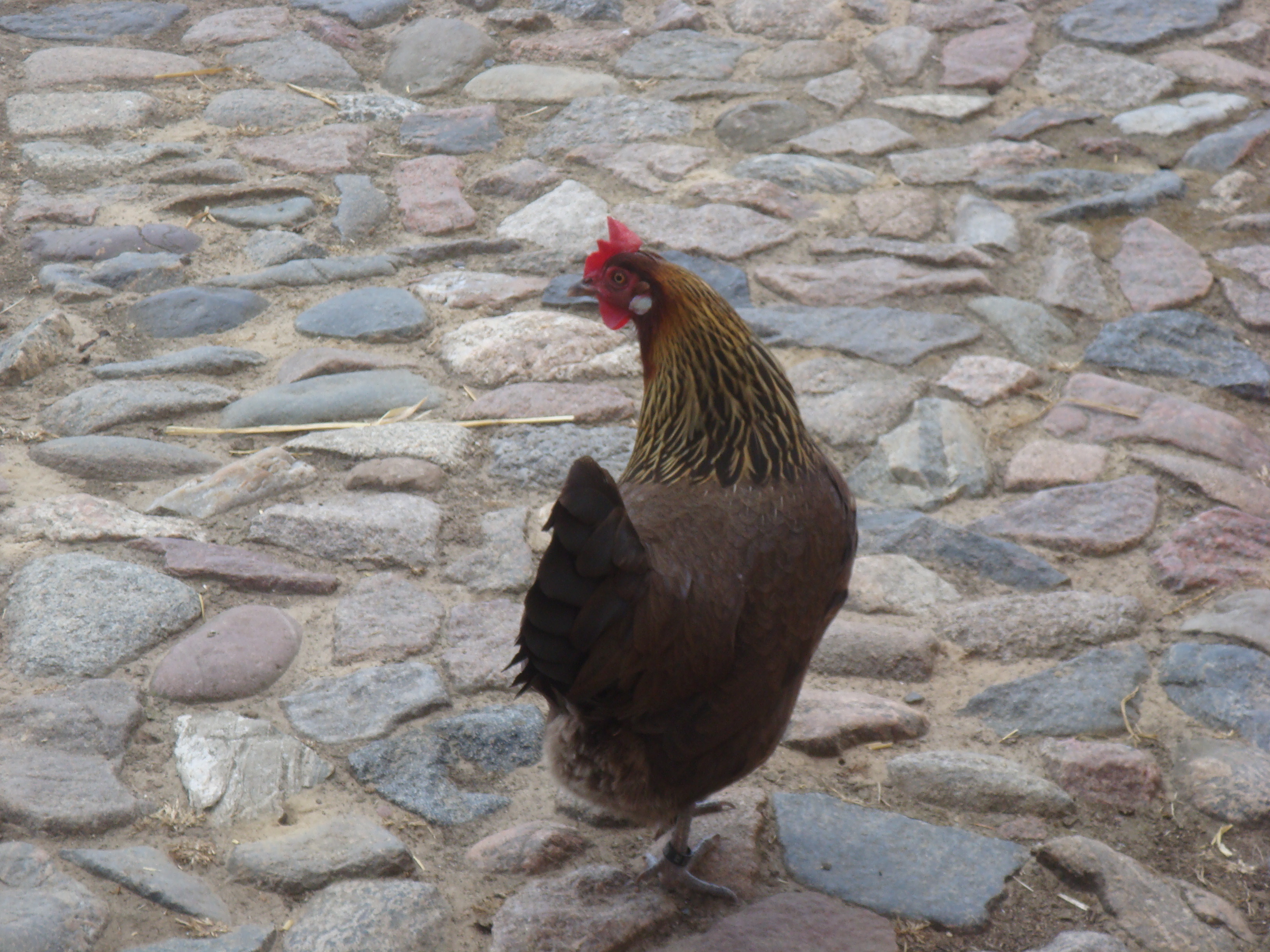Sommer 2014 119