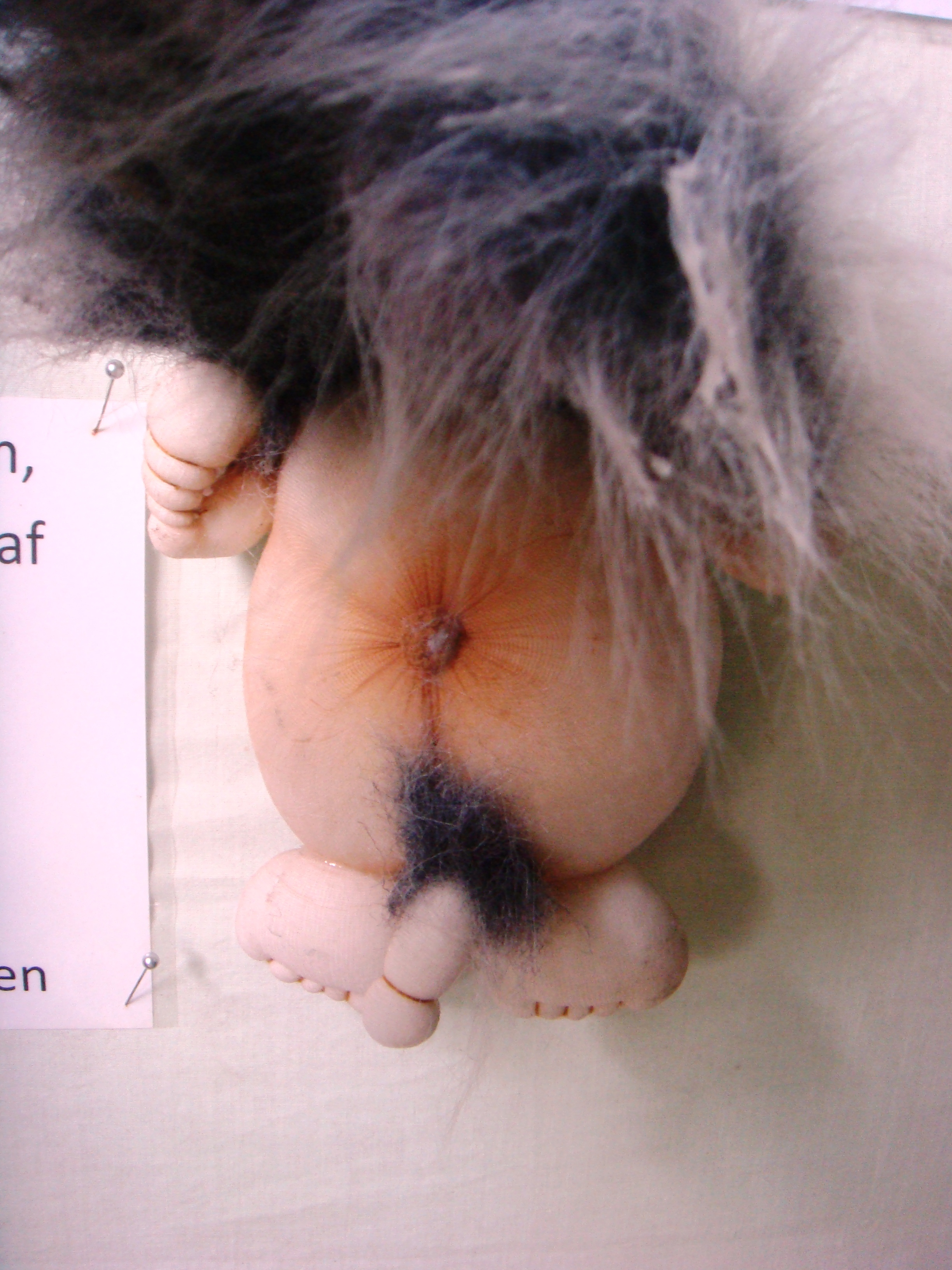 Sommer 2014 204