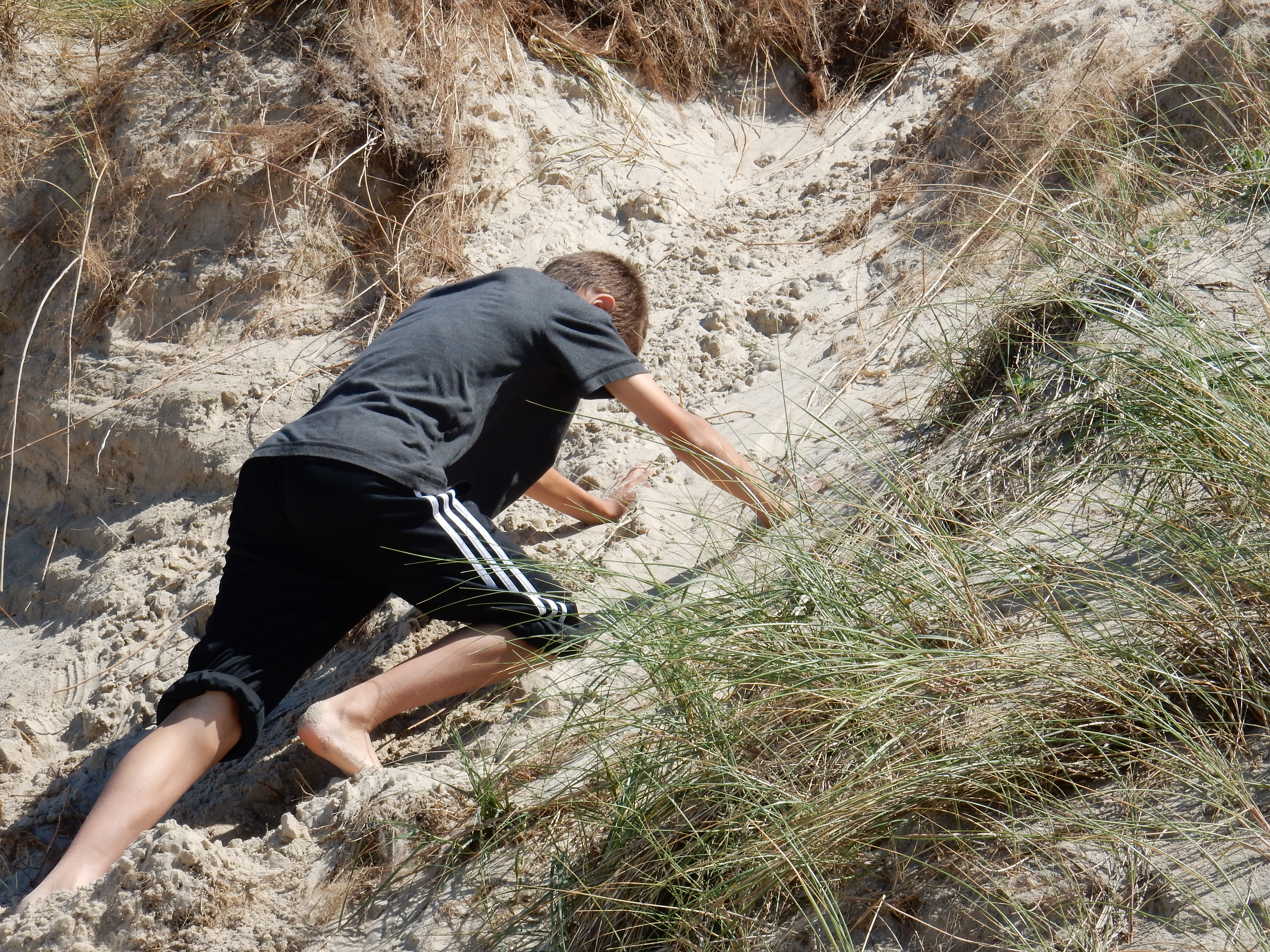 Sommer 2014 252
