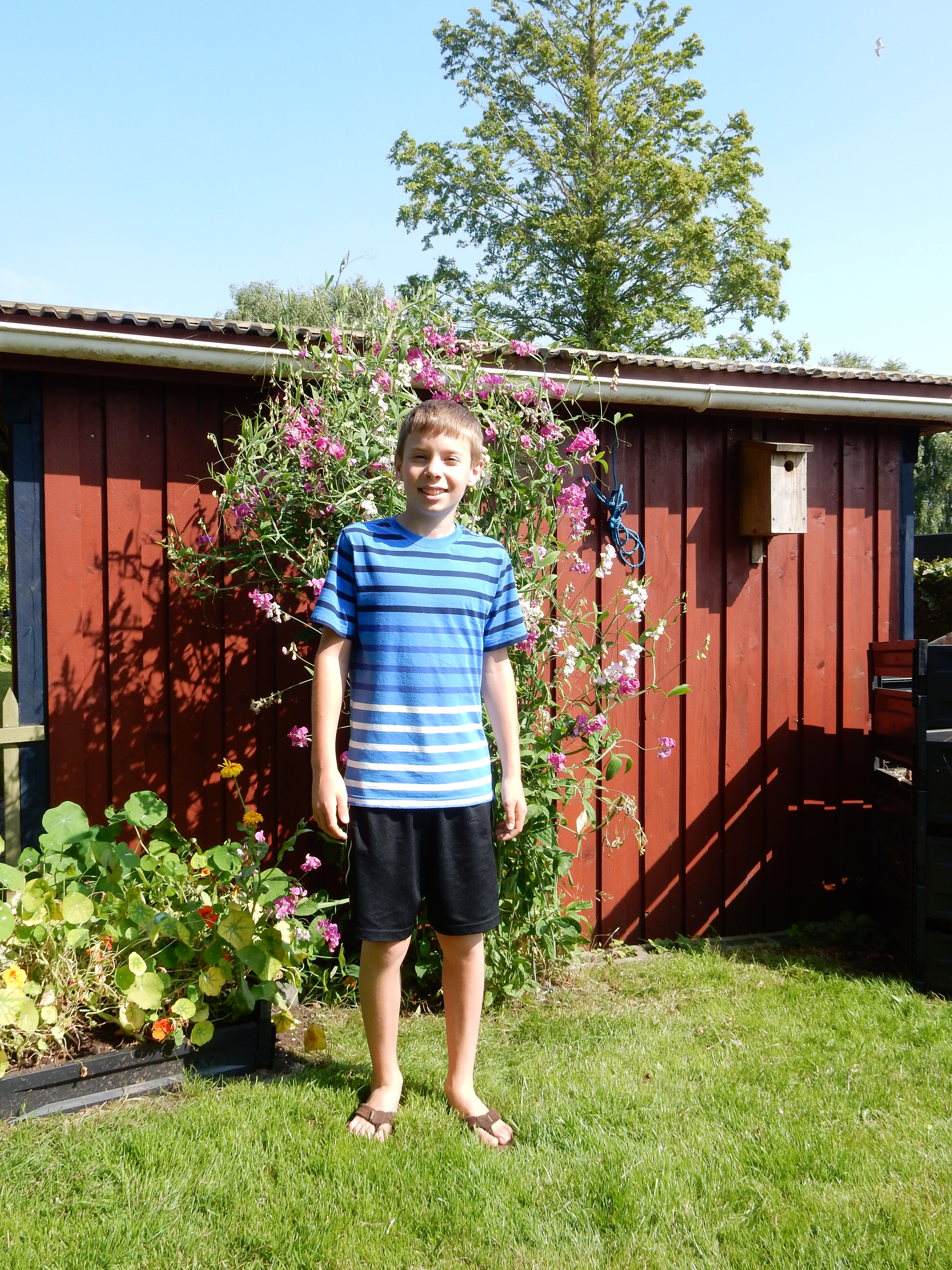 Sommer 2014 262