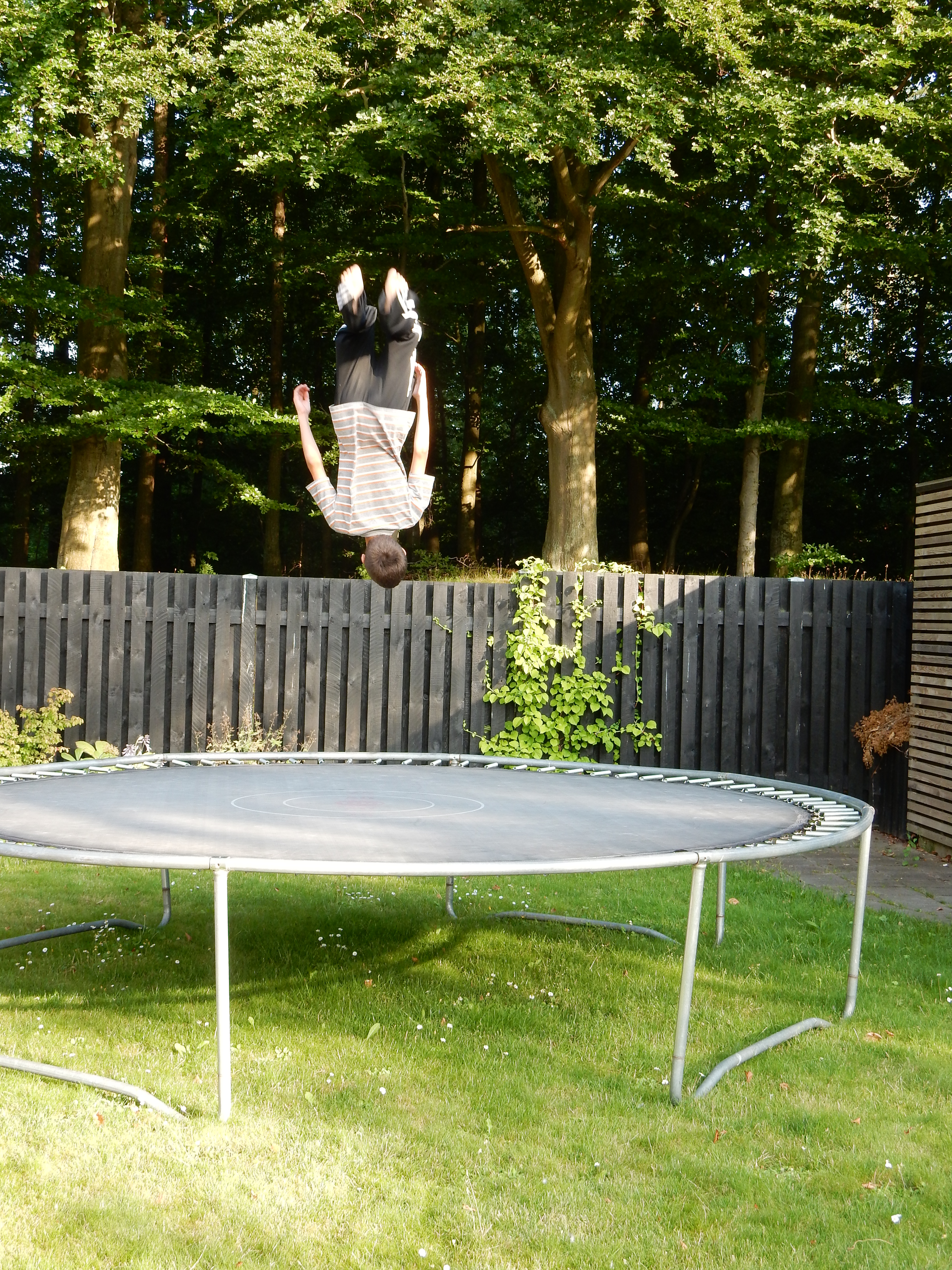 Sommer 2014 278