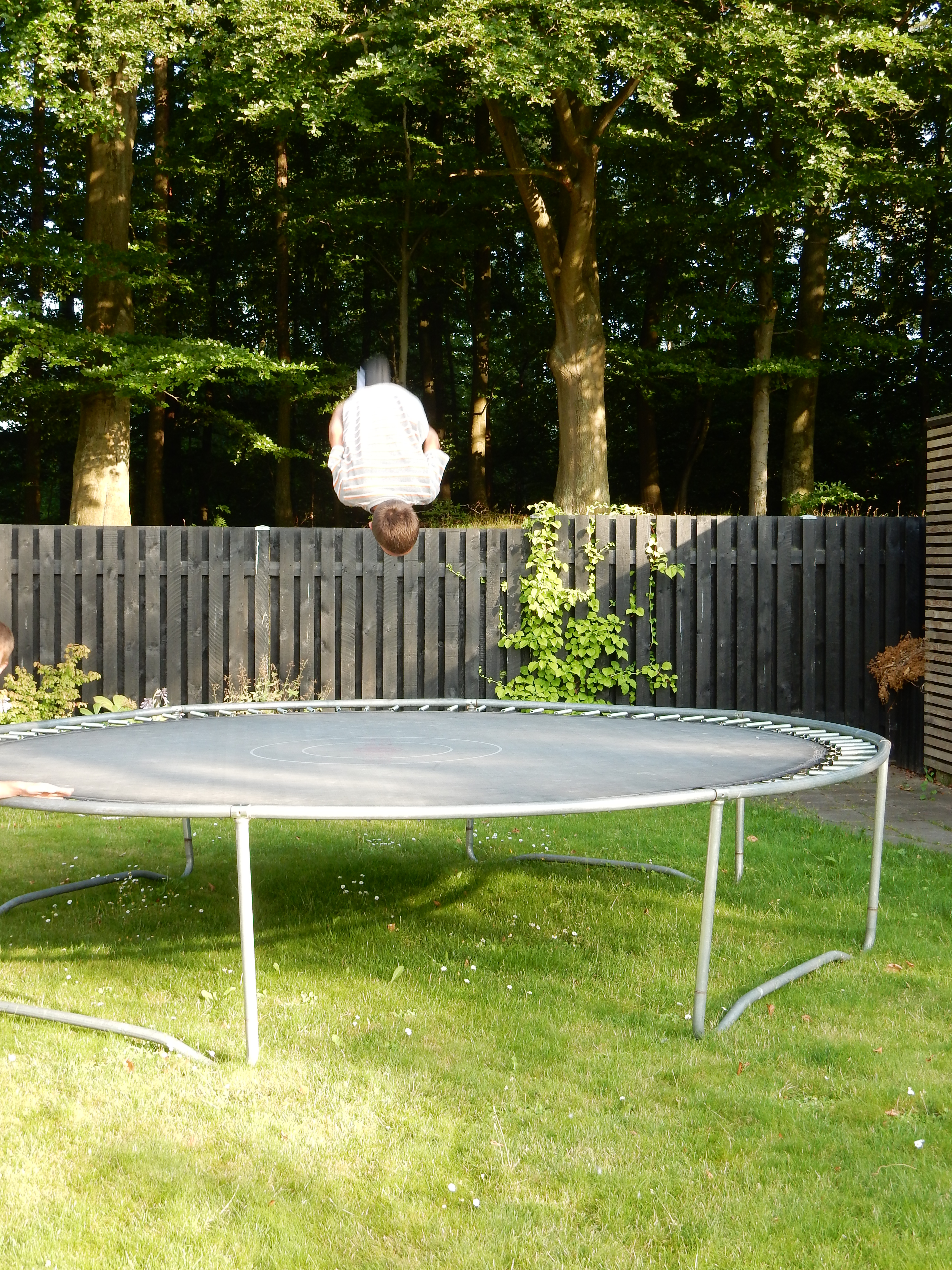 Sommer 2014 279