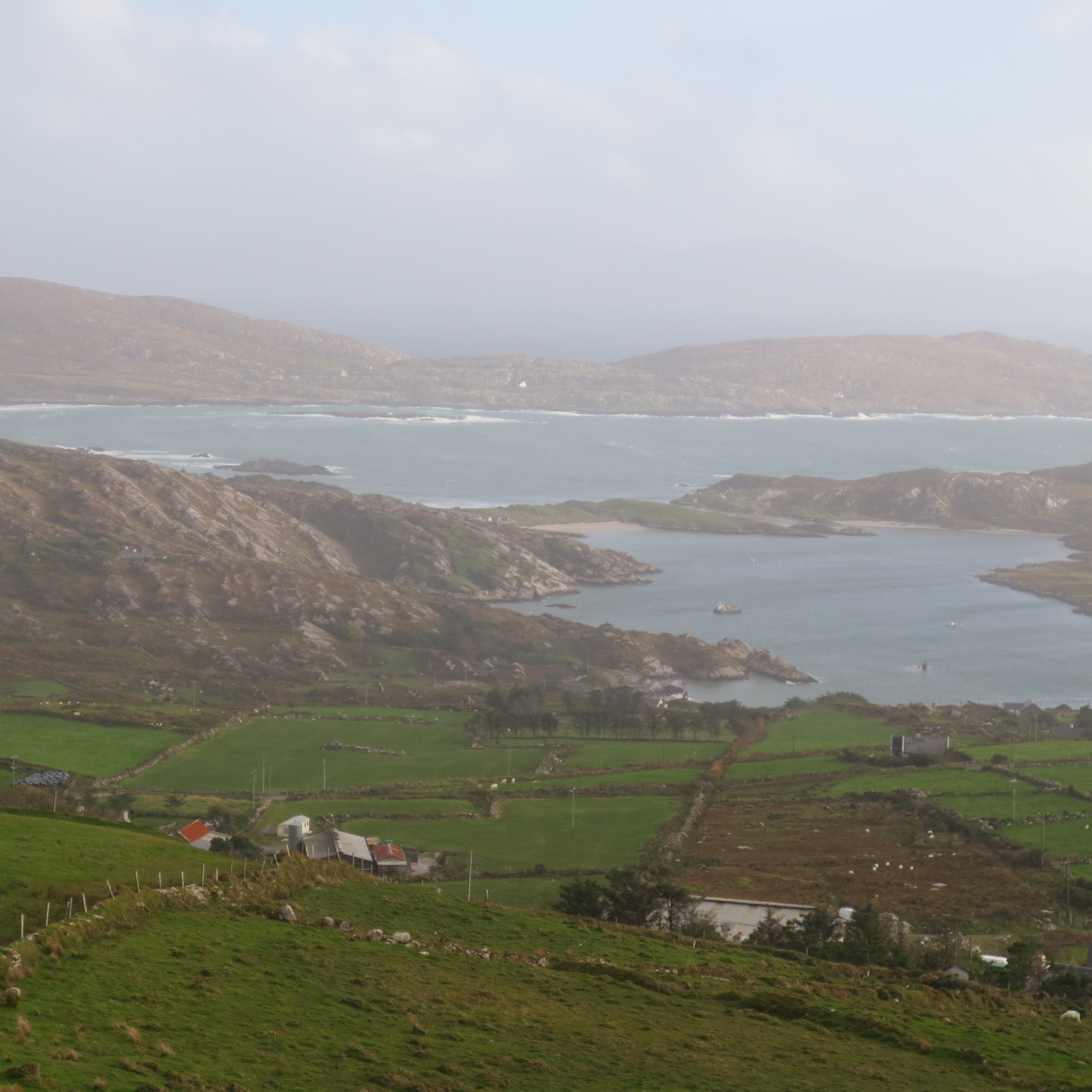 IMG_2245