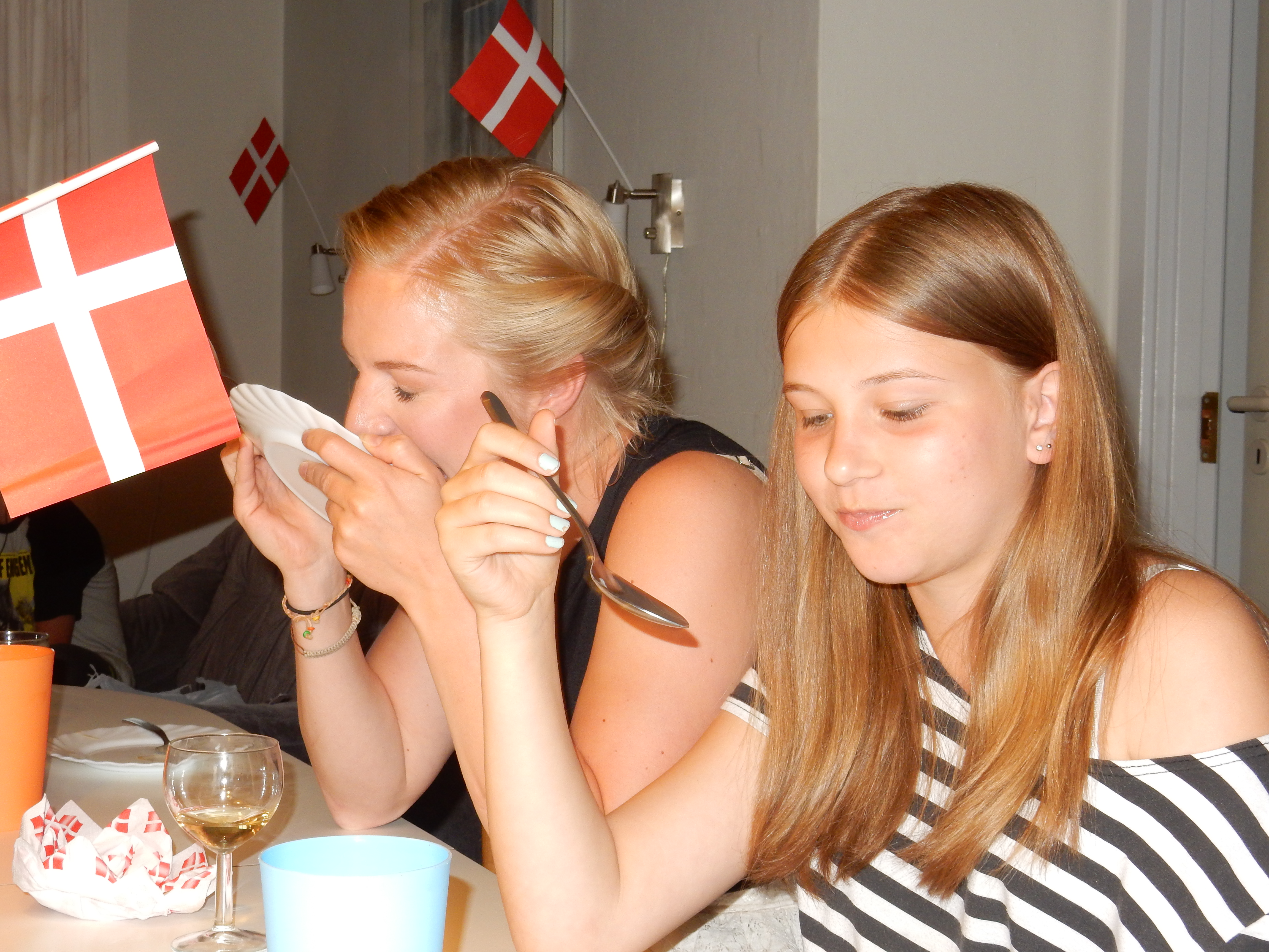 08 sommerhus