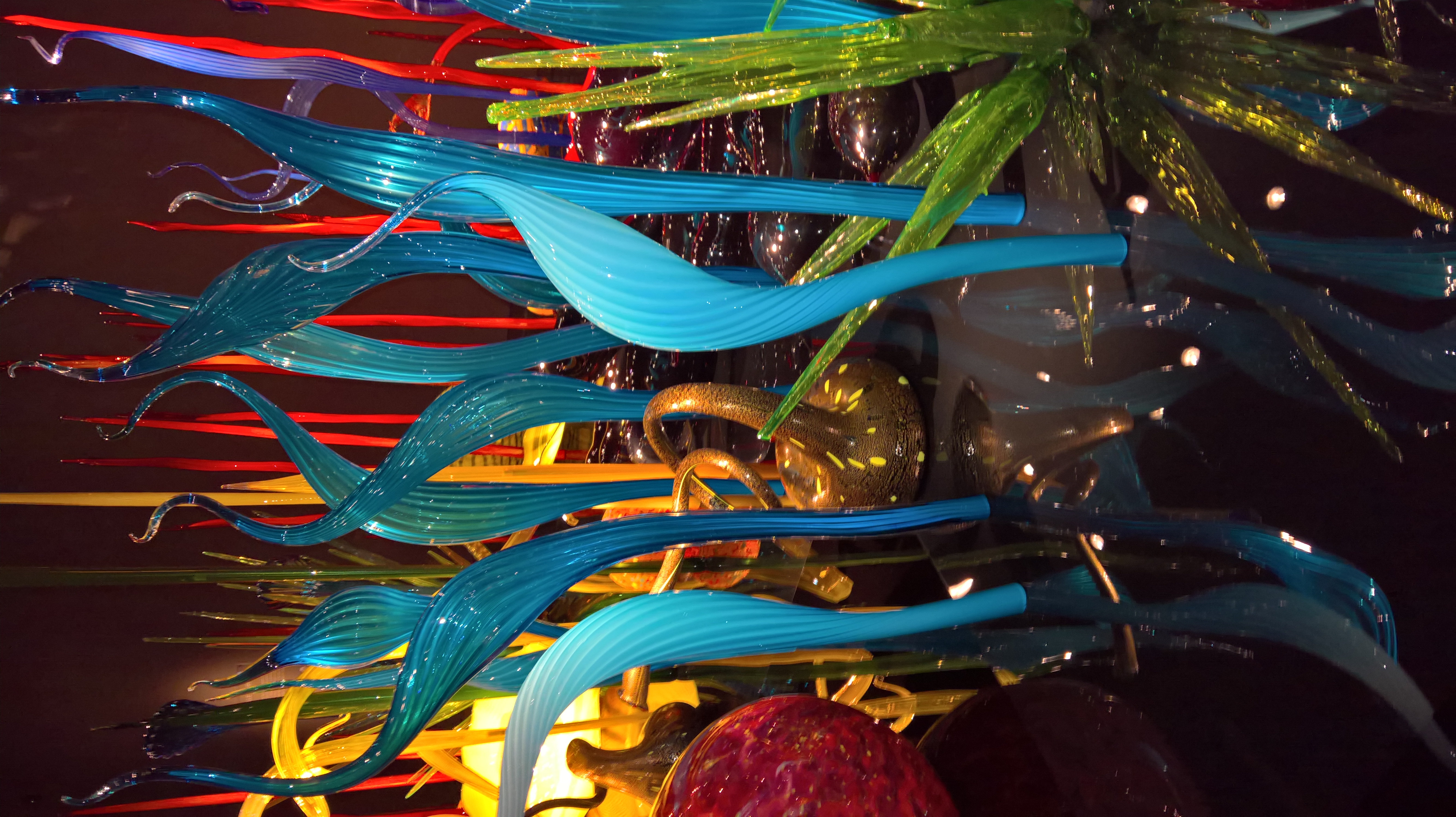 WP_20151212_11_43_31_Rich_LI