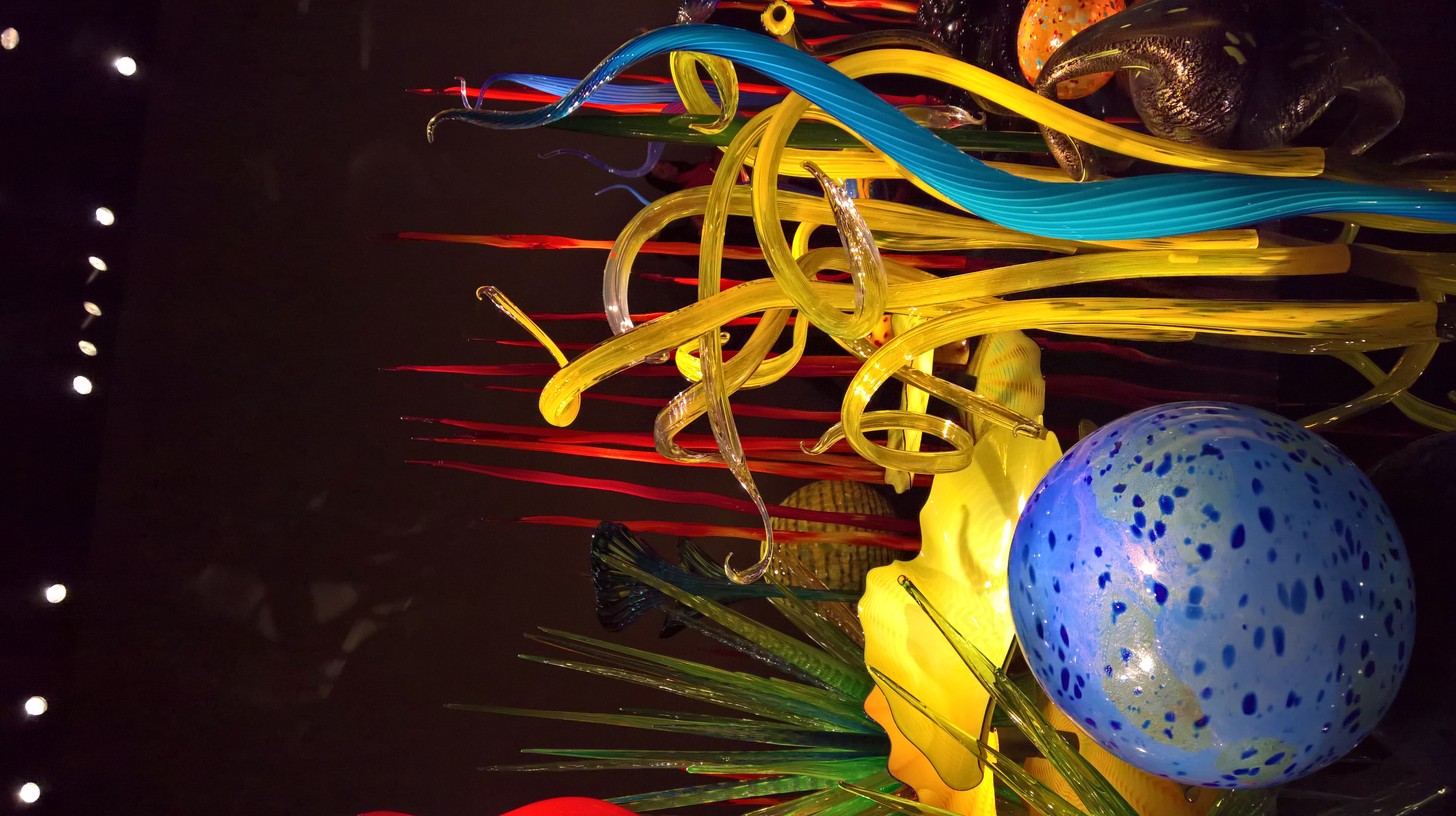 WP_20151212_11_45_49_Rich_LI