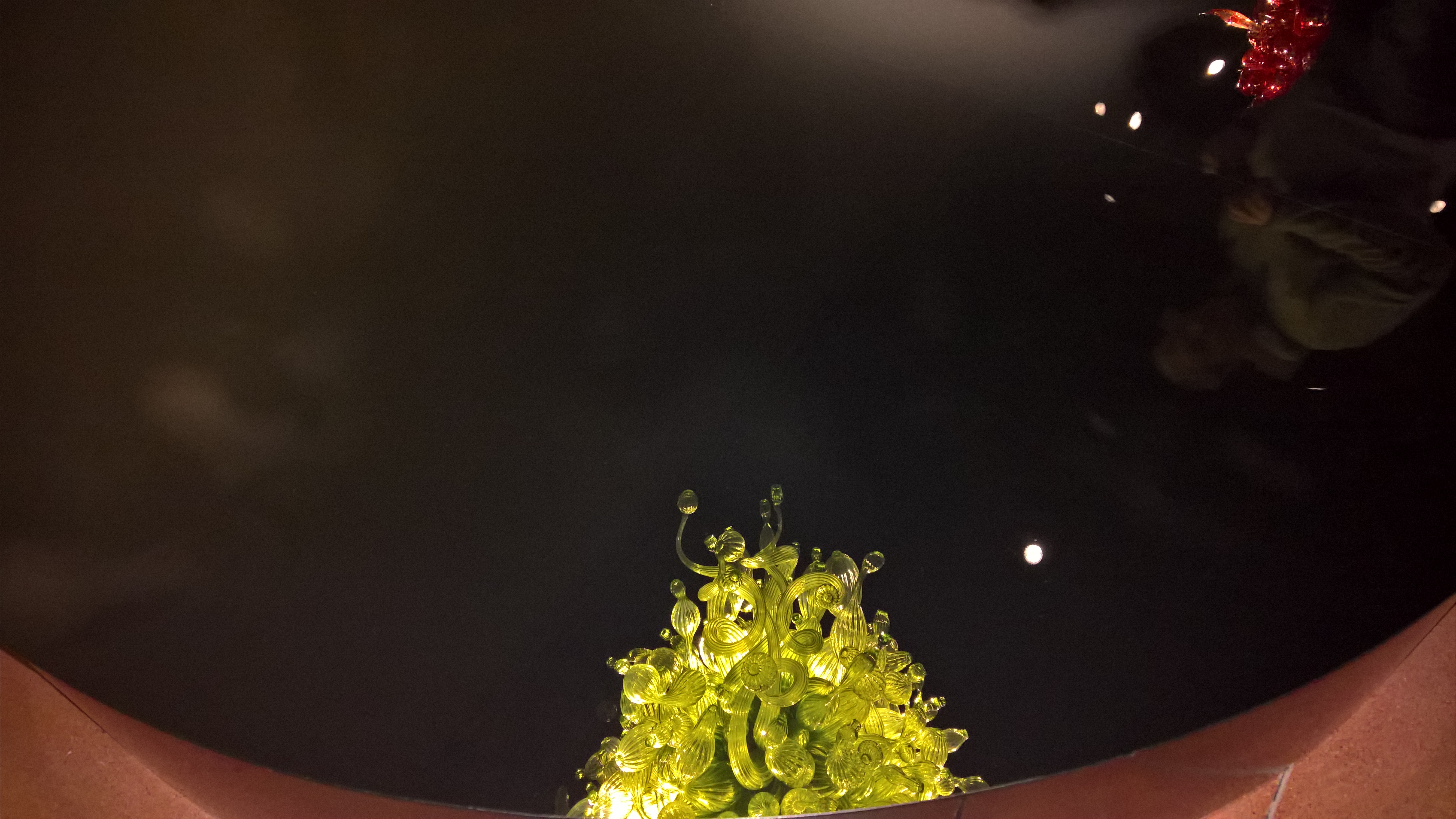 WP_20151212_12_14_01_Rich_LI