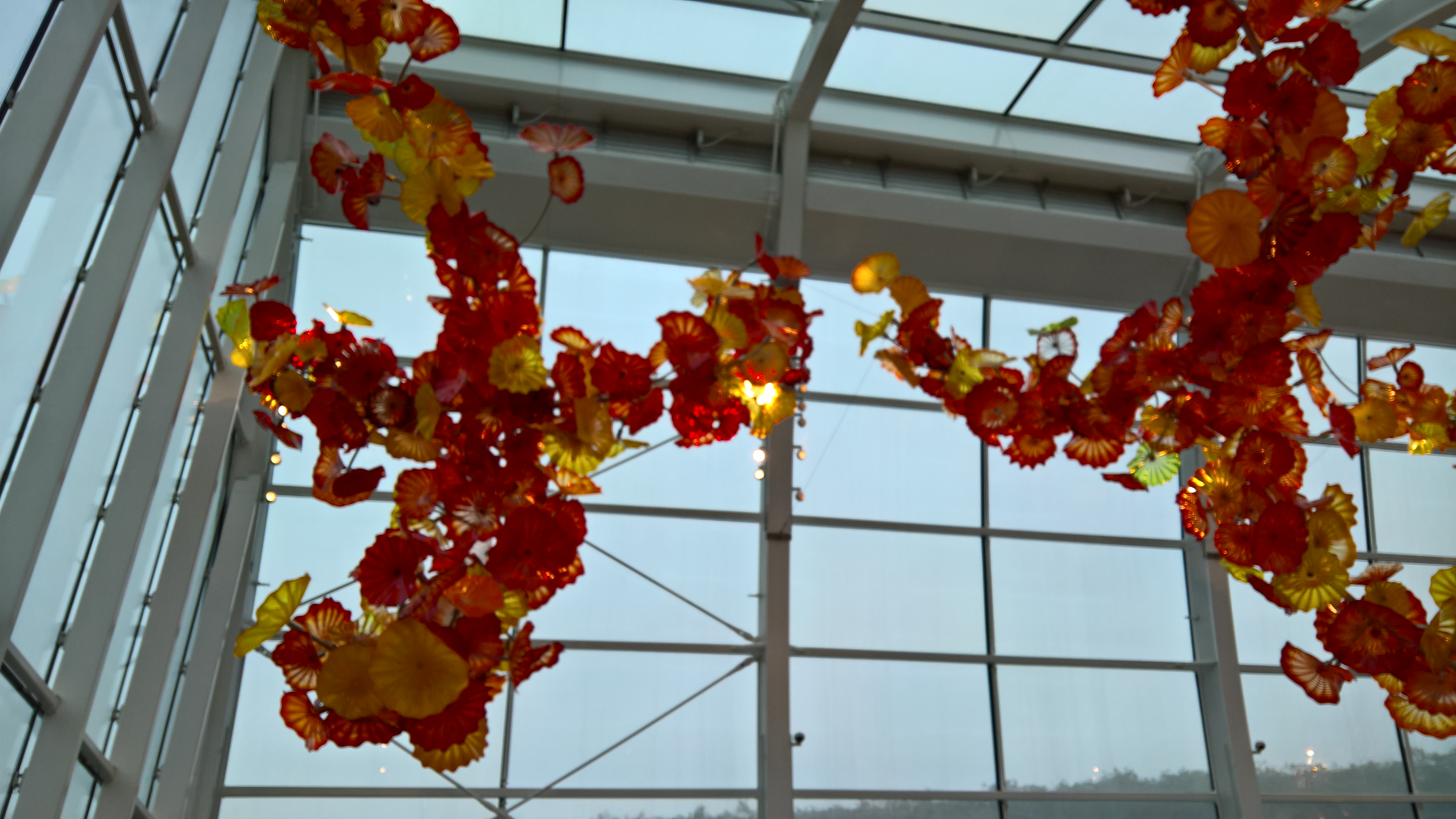 WP_20151212_12_29_57_Rich_LI