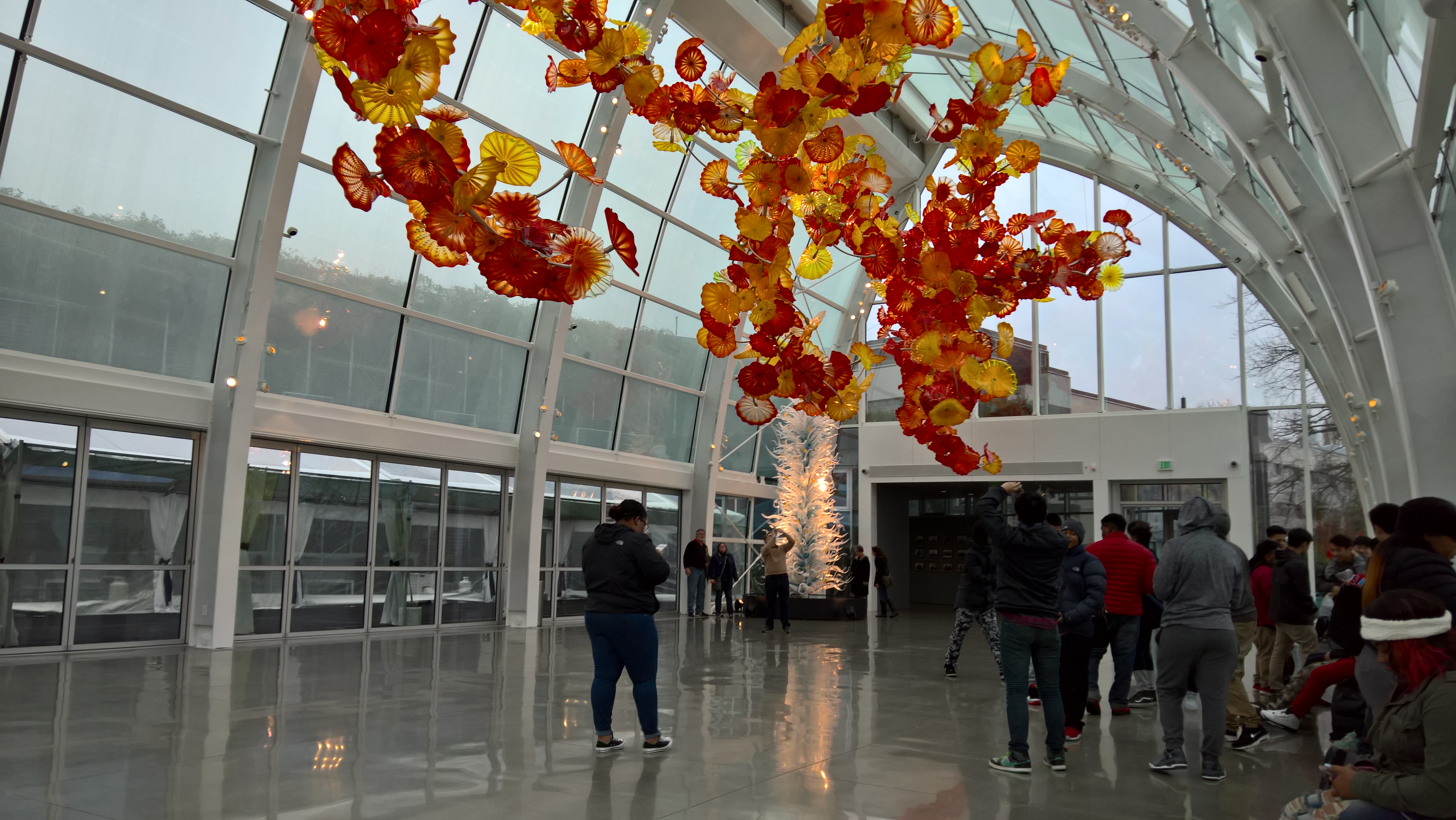 WP_20151212_12_30_06_Rich_LI