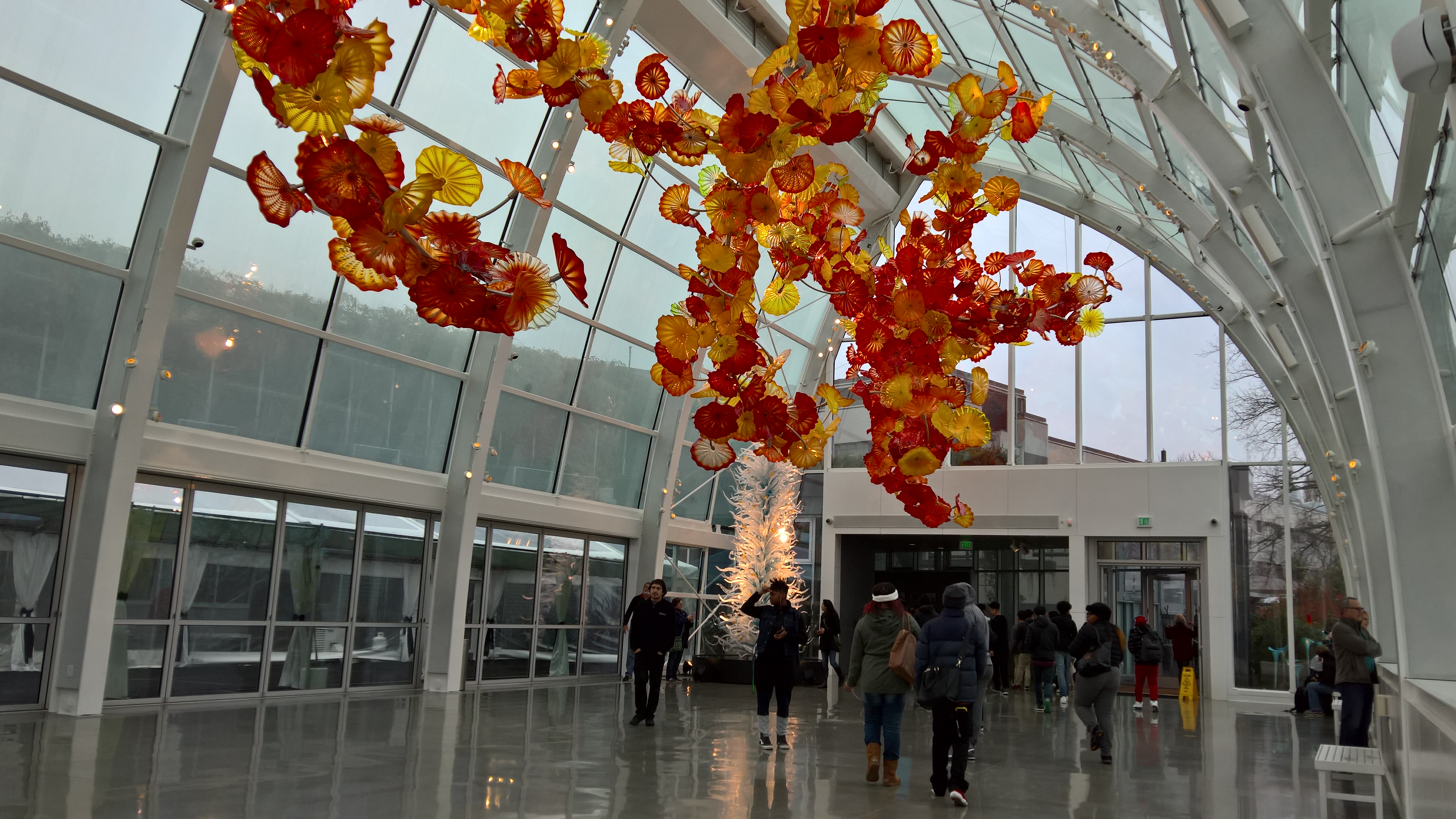 WP_20151212_12_30_27_Rich_LI