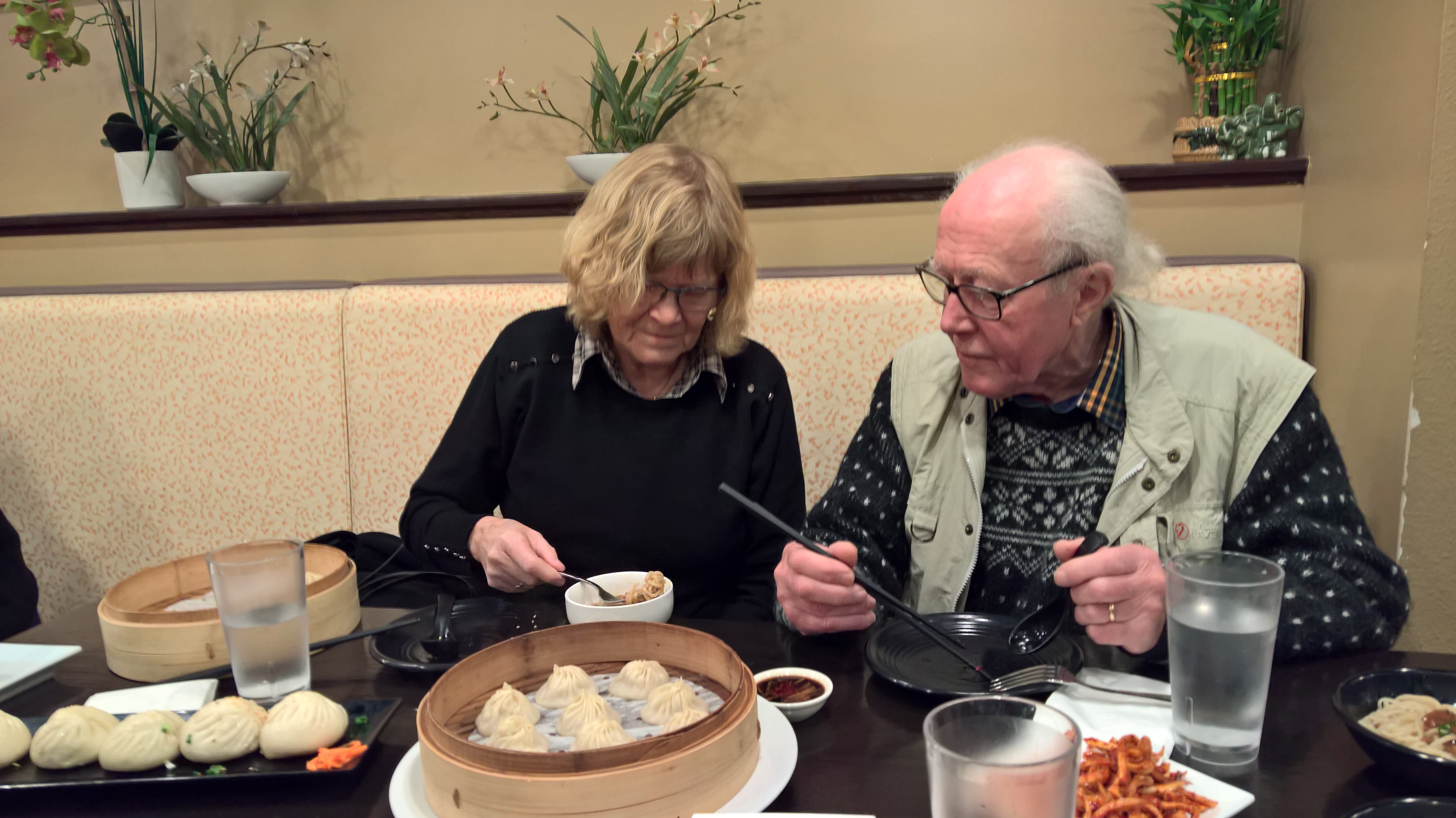 WP_20151216_19_42_00_Rich_LI