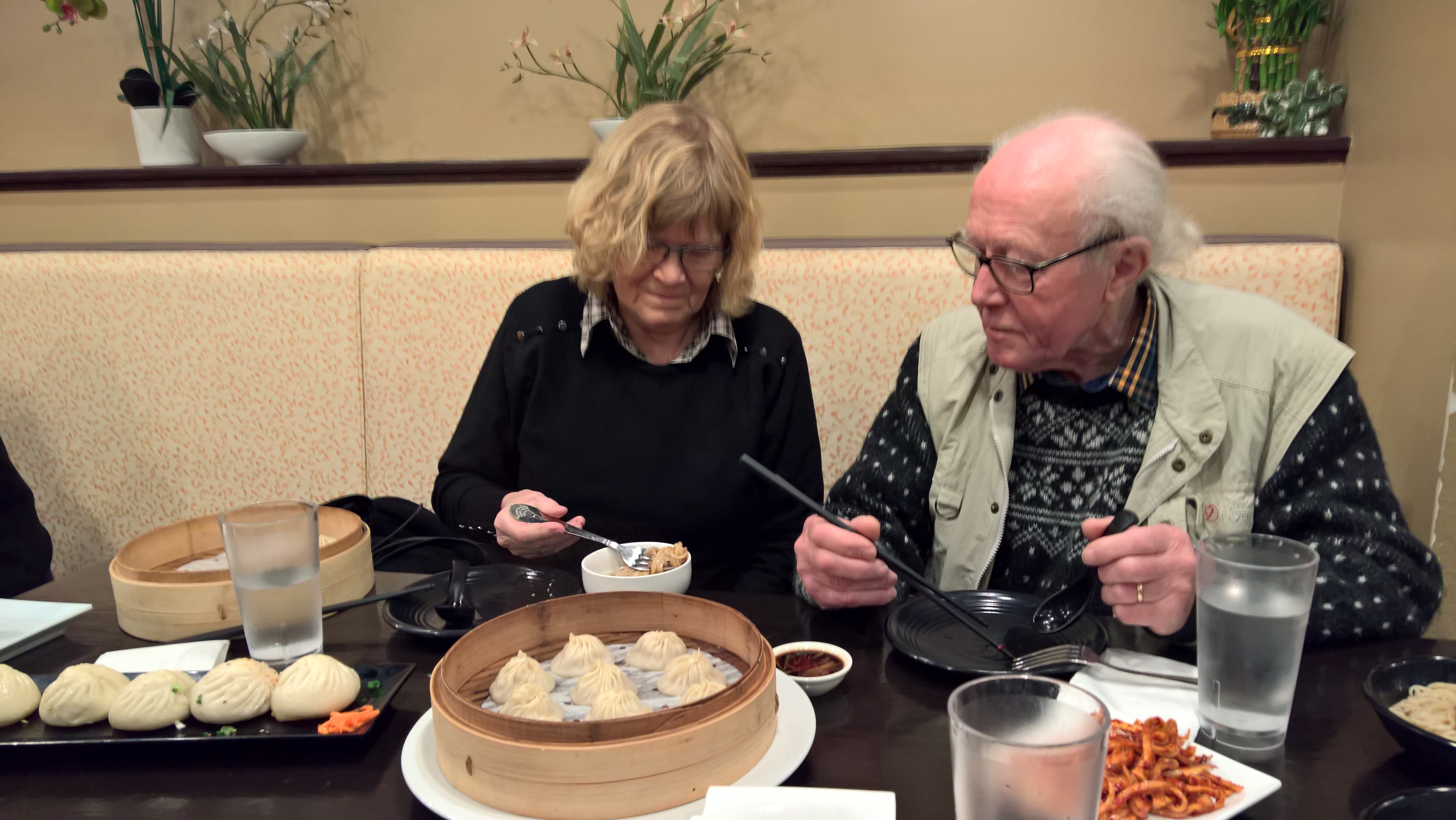 WP_20151216_19_42_03_Rich_LI