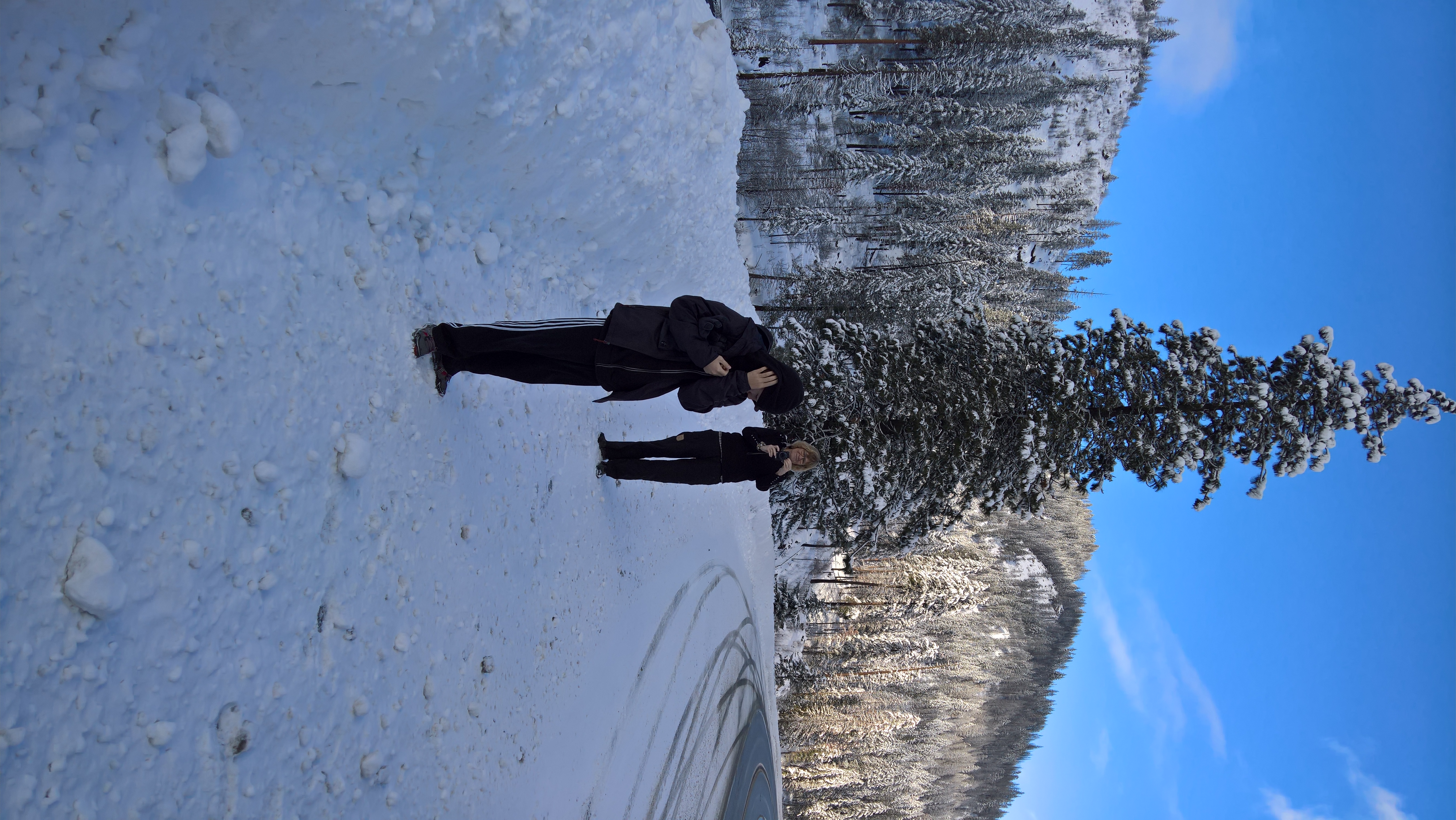 WP_20151219_12_08_41_Rich_LI