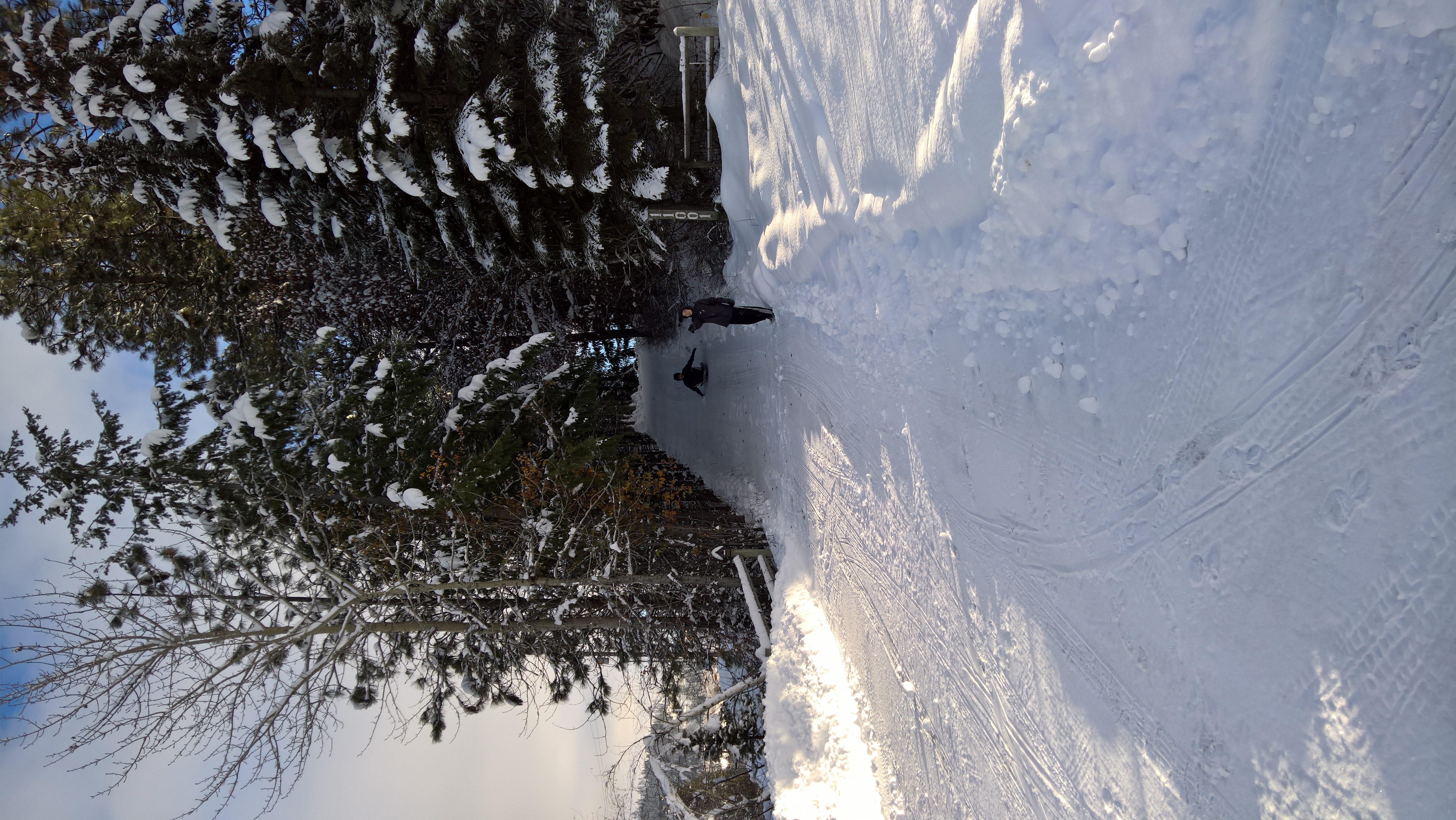 WP_20151219_13_59_37_Rich_LI