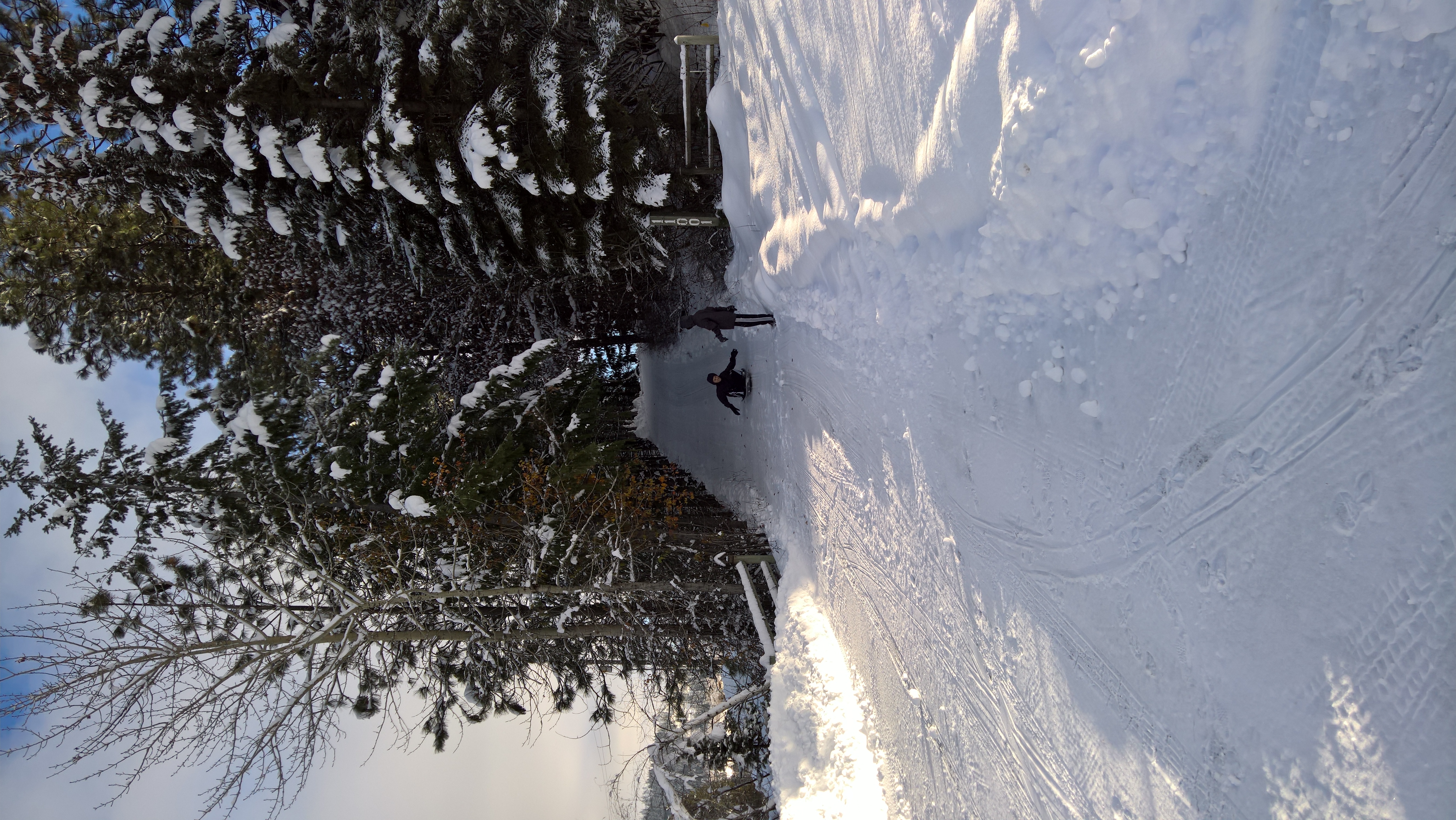 WP_20151219_13_59_38_Rich