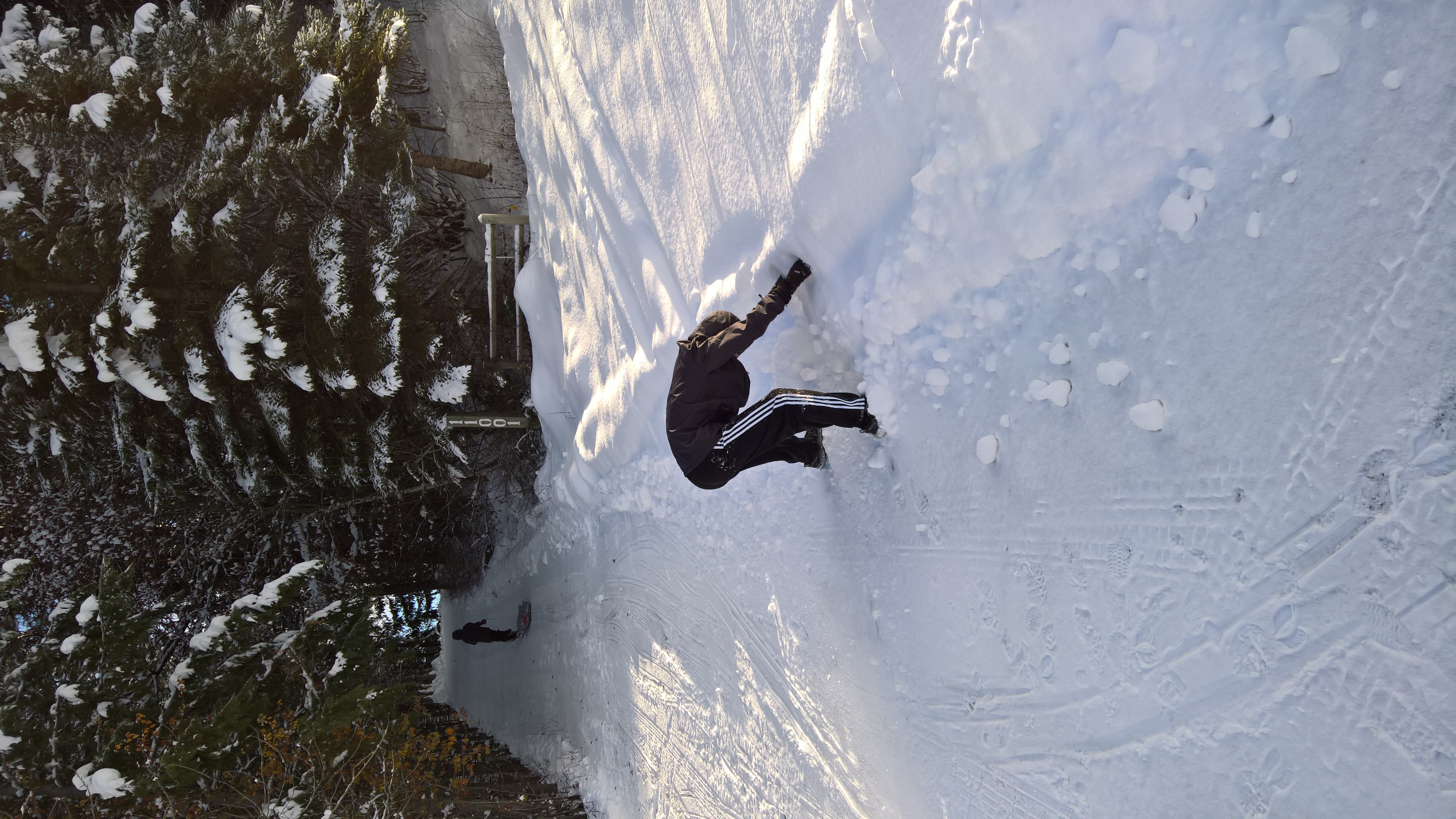 WP_20151219_13_59_58_Rich_LI