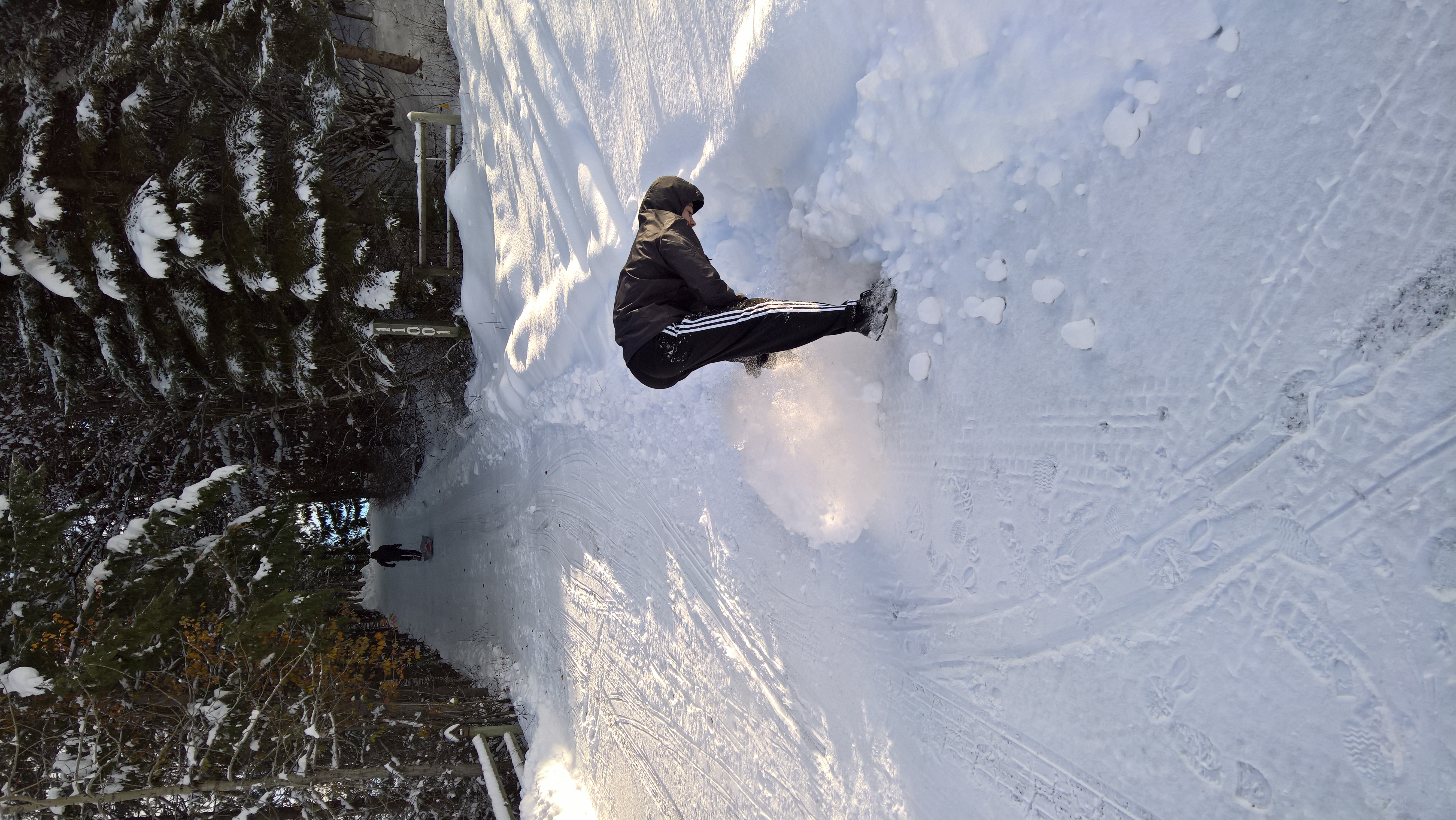 WP_20151219_14_00_00_Rich