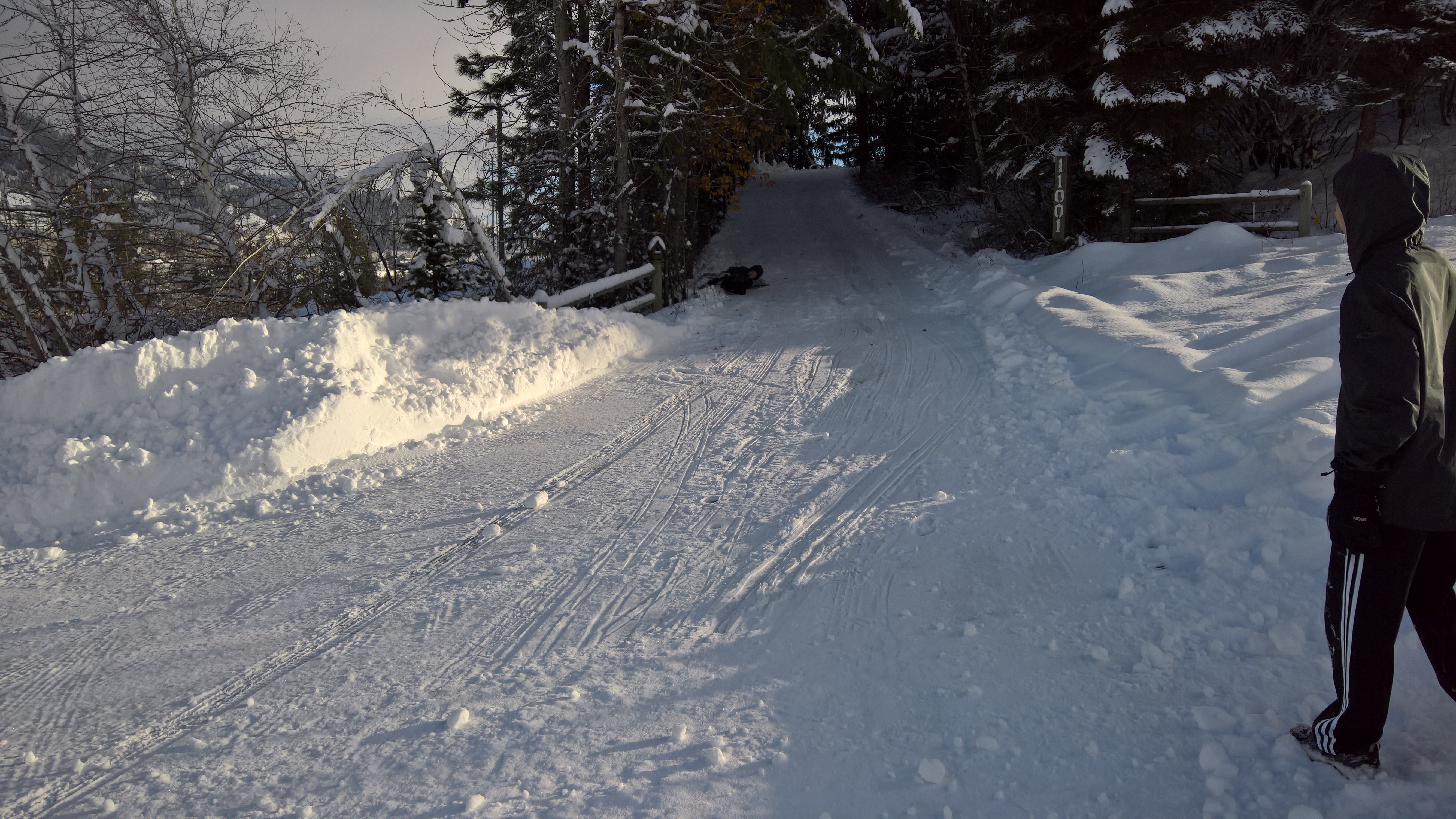 WP_20151219_14_00_28_Rich