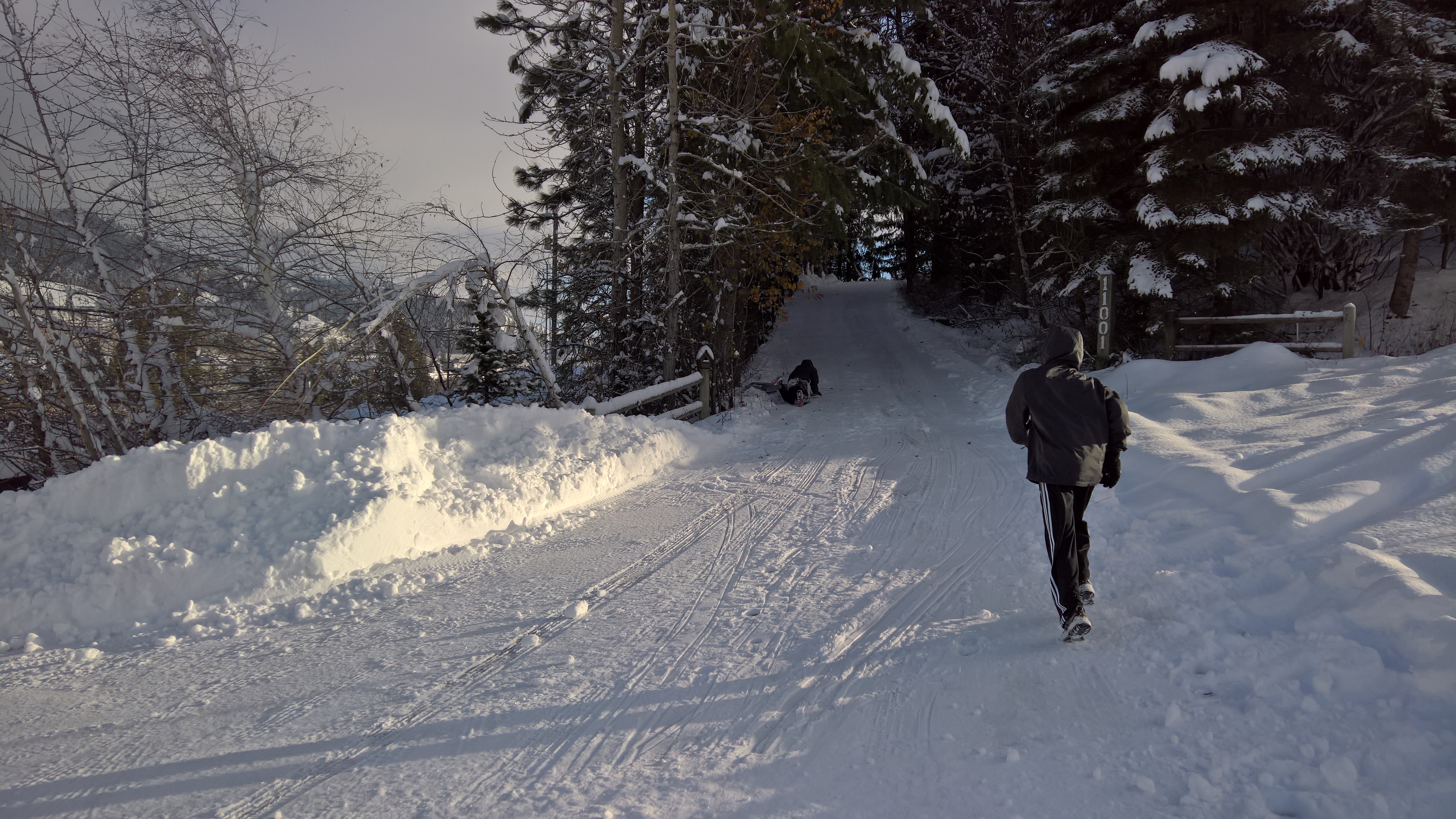 WP_20151219_14_00_29_Rich_LI