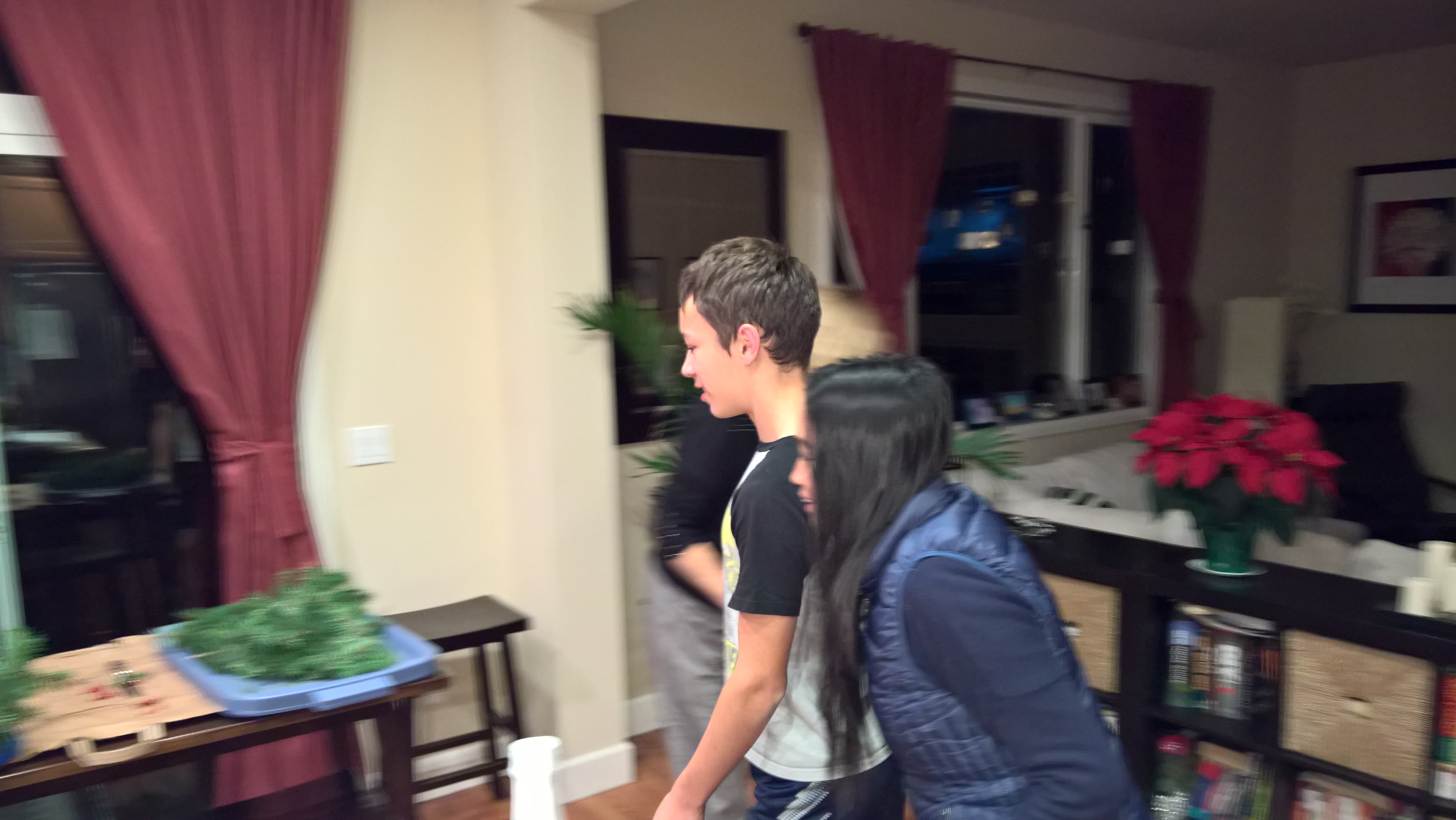 WP_20151222_19_37_21_Rich_LI