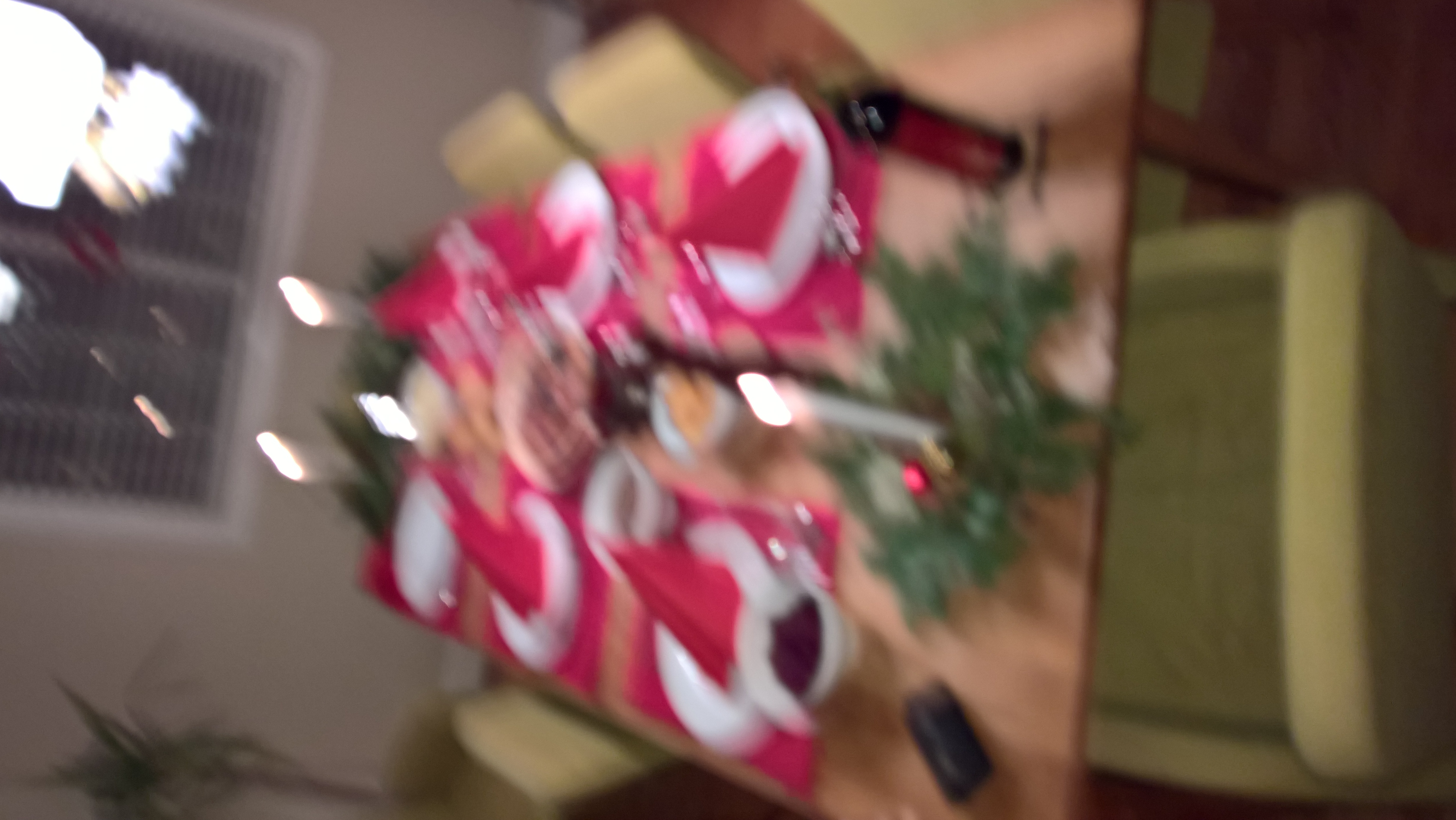WP_20151224_18_02_00_Rich