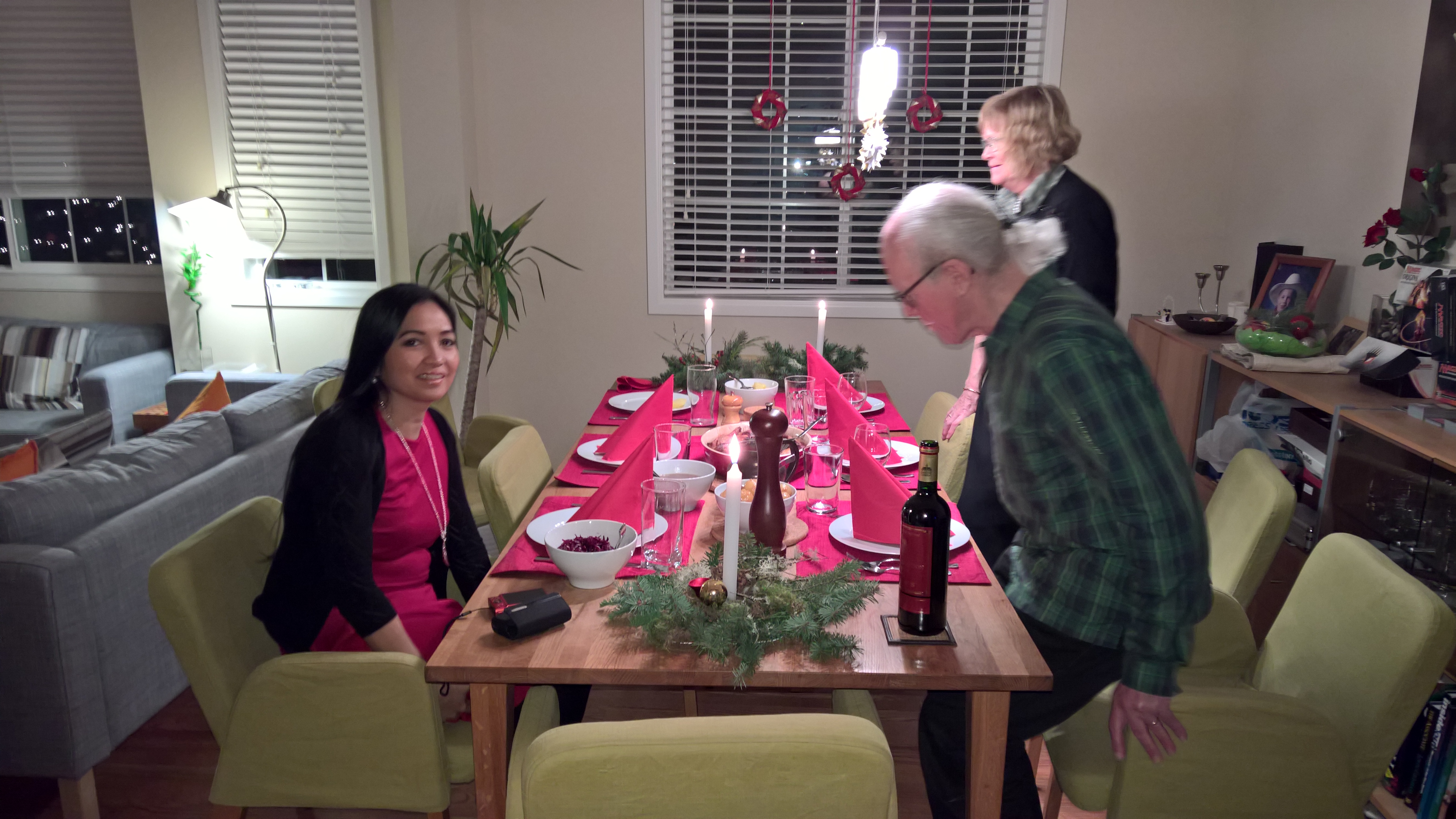 WP_20151224_18_02_36_Rich_LI