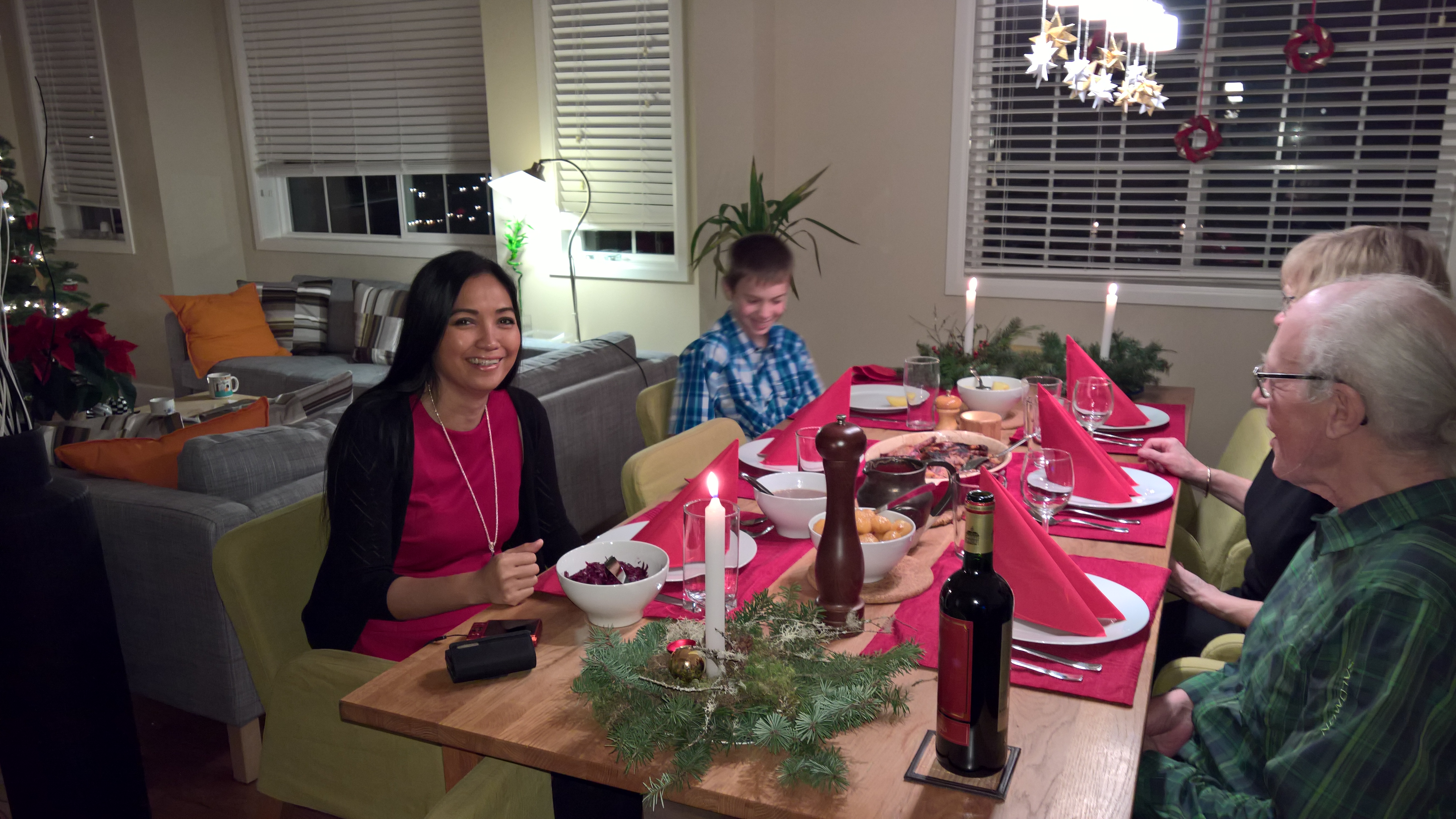 WP_20151224_18_03_06_Rich_LI