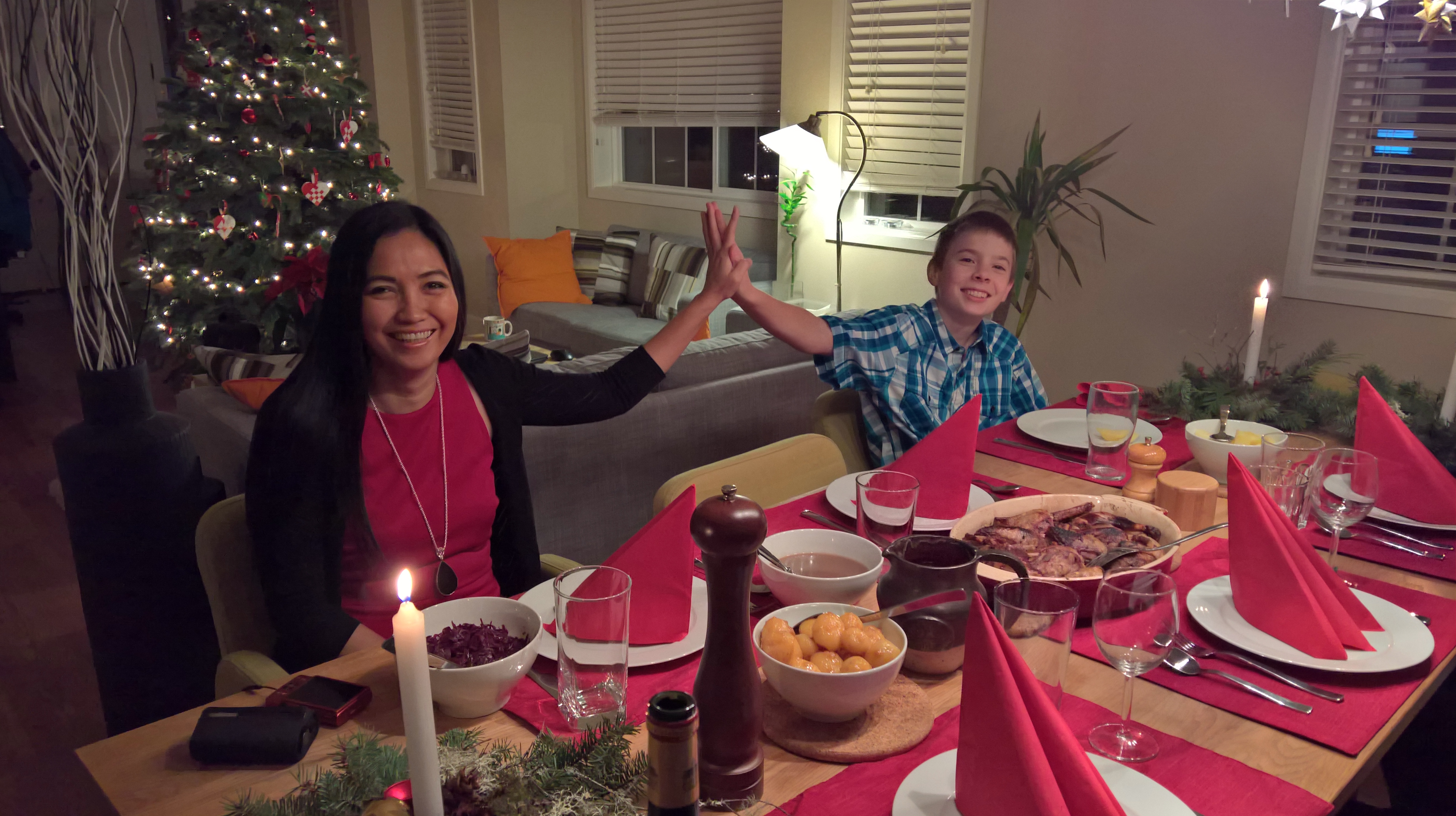 WP_20151224_18_04_01_Rich_LI