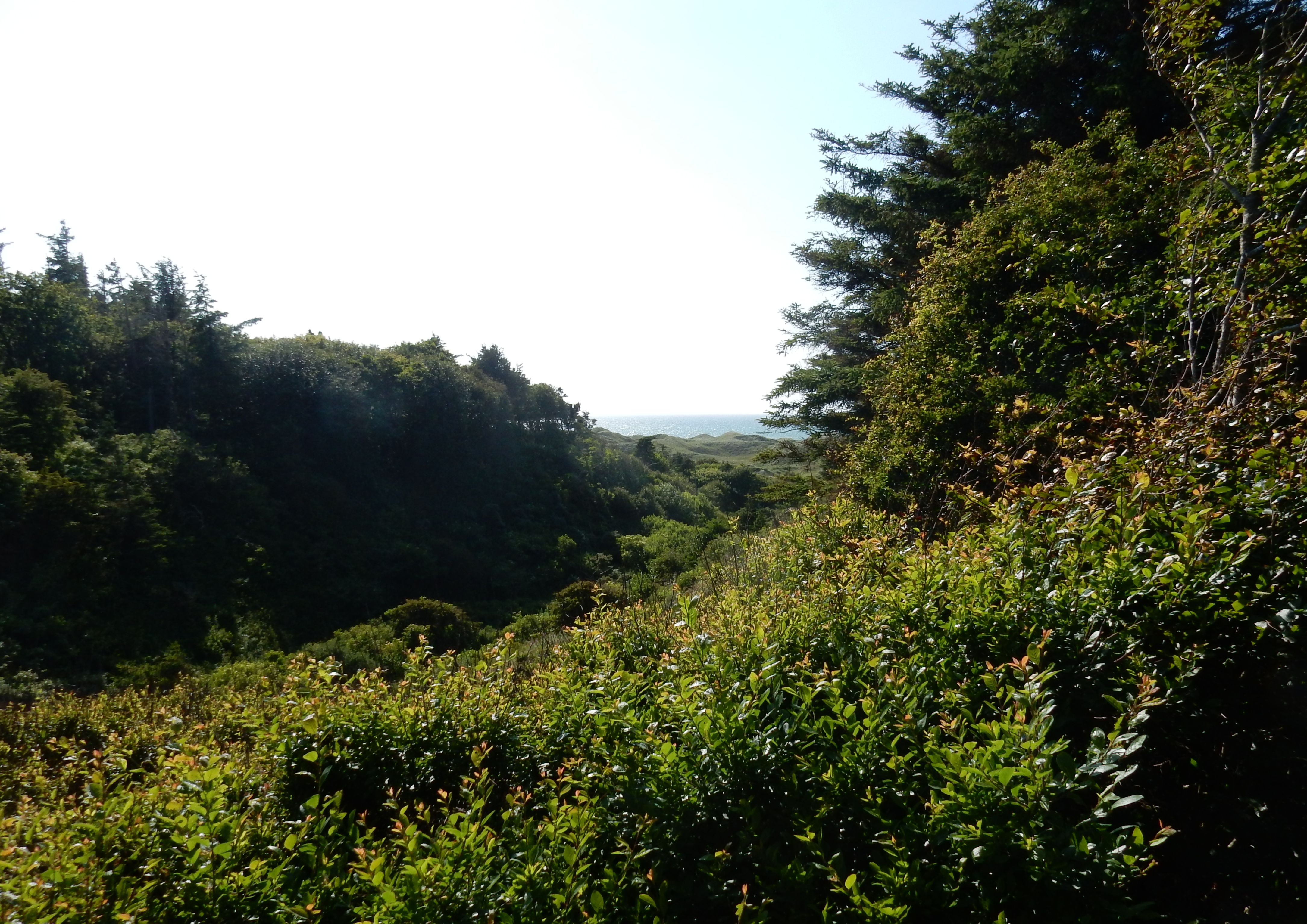 DSCN1676