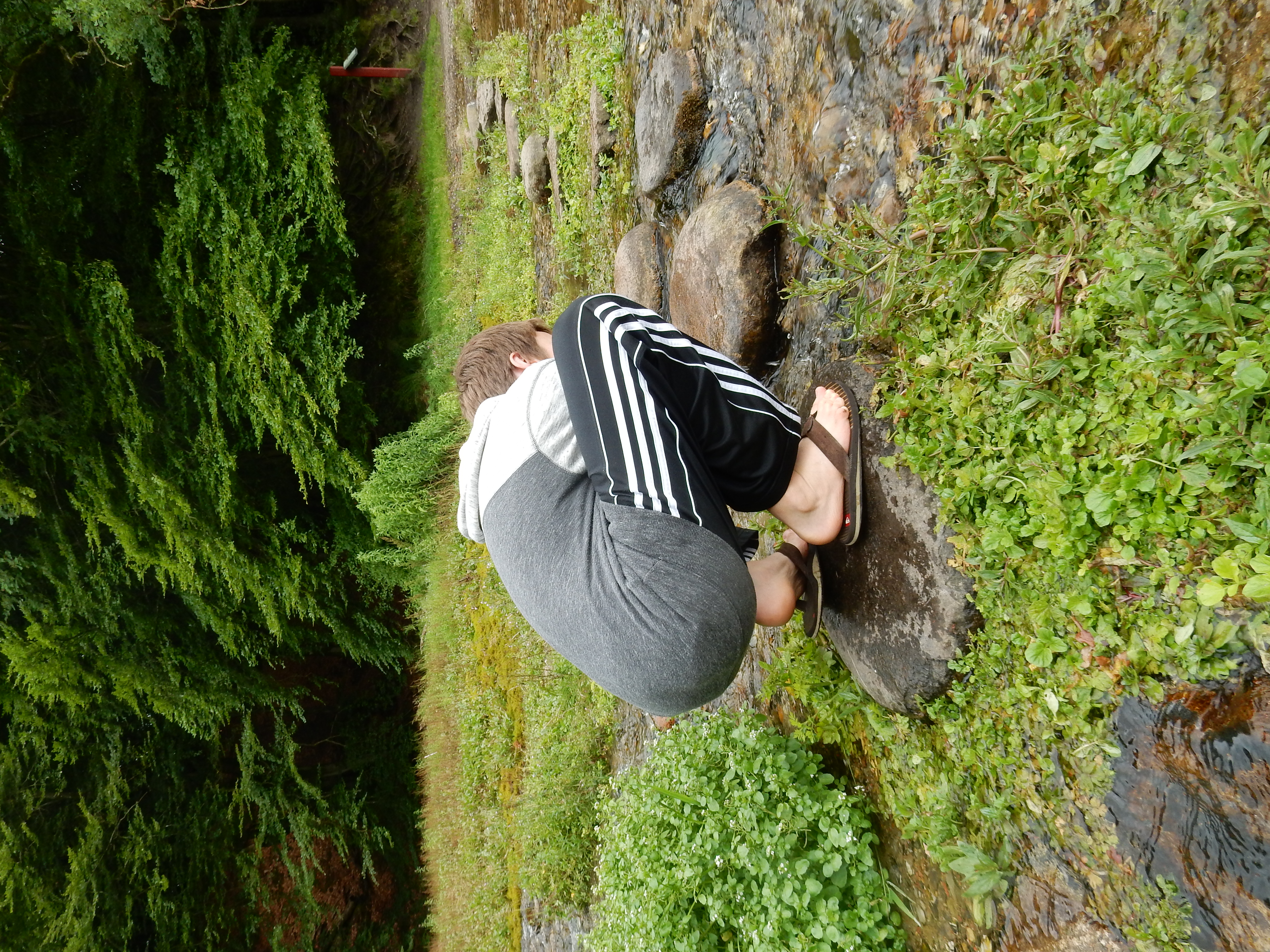 DSCN2714