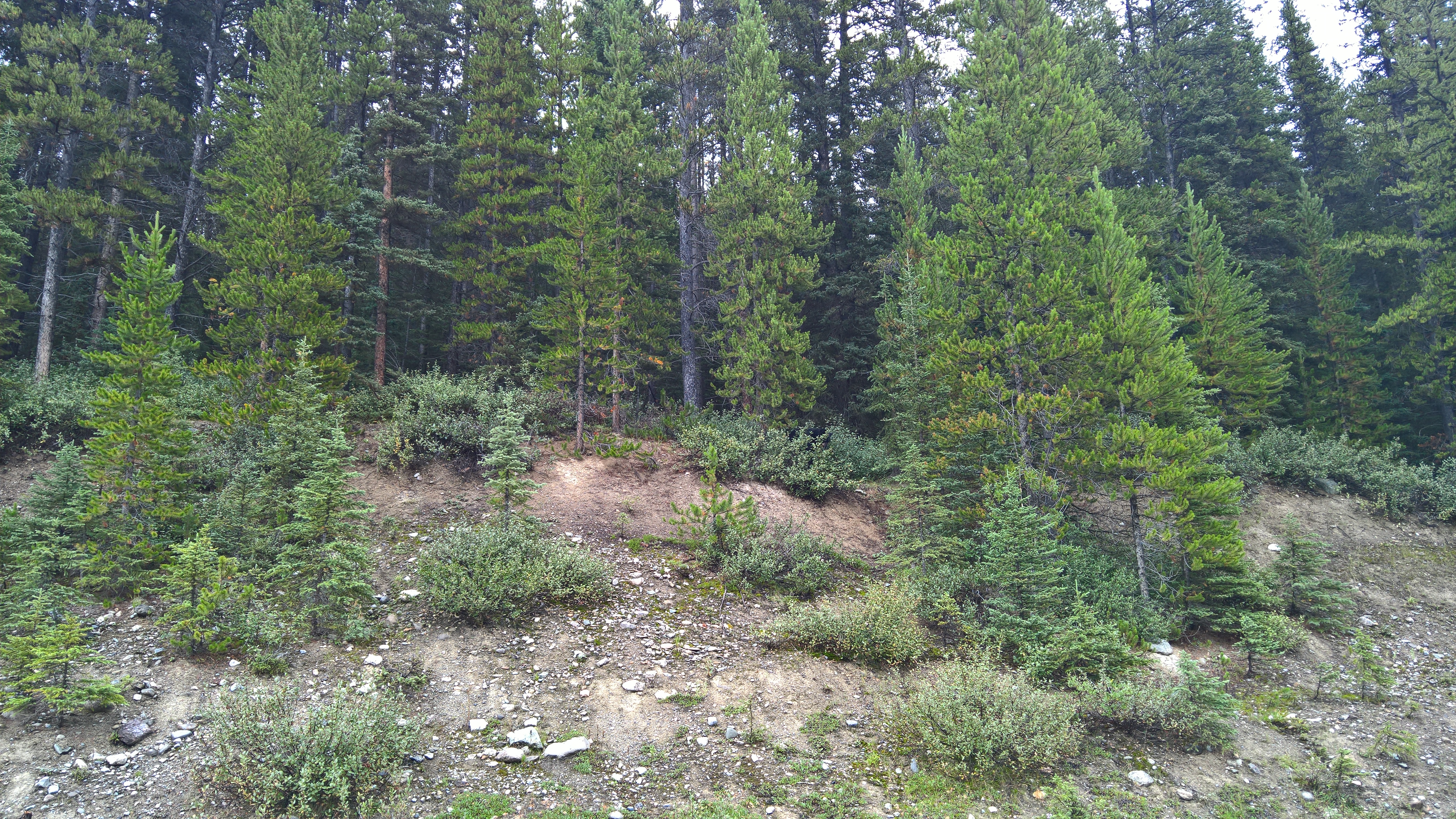 WP_20160808_15_15_56_Pro