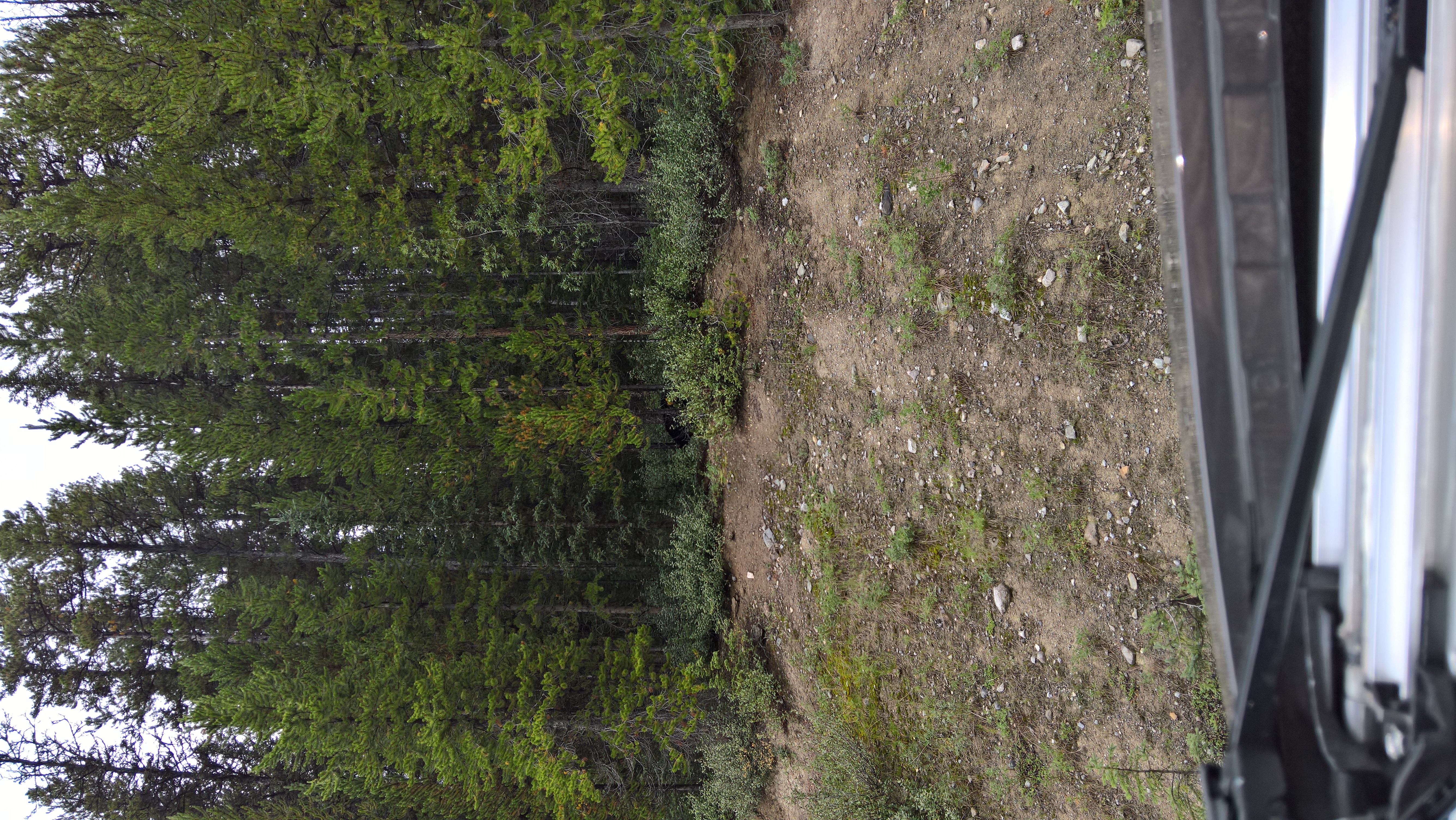 WP_20160808_15_22_18_Pro