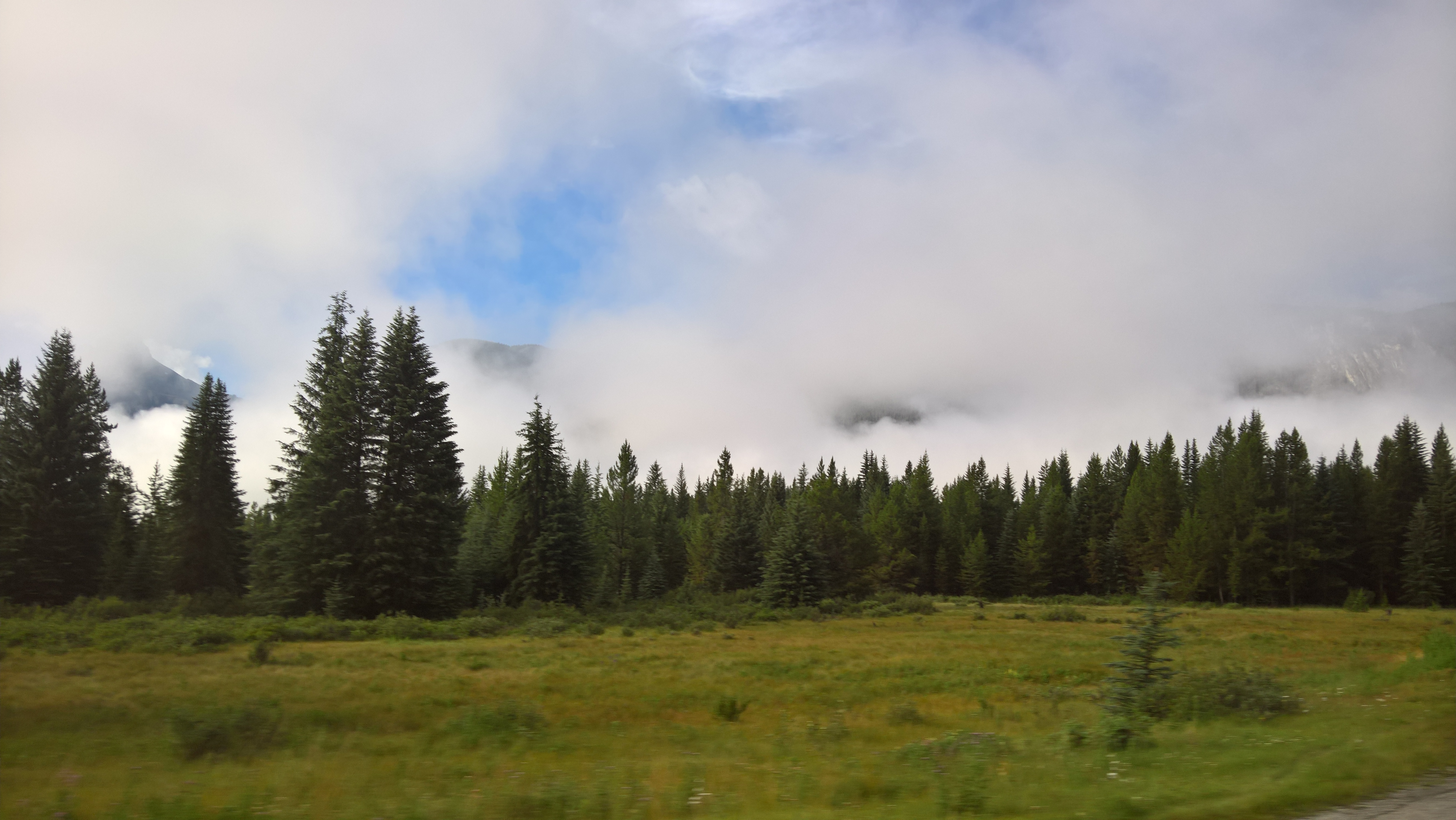 WP_20160809_09_03_09_Rich